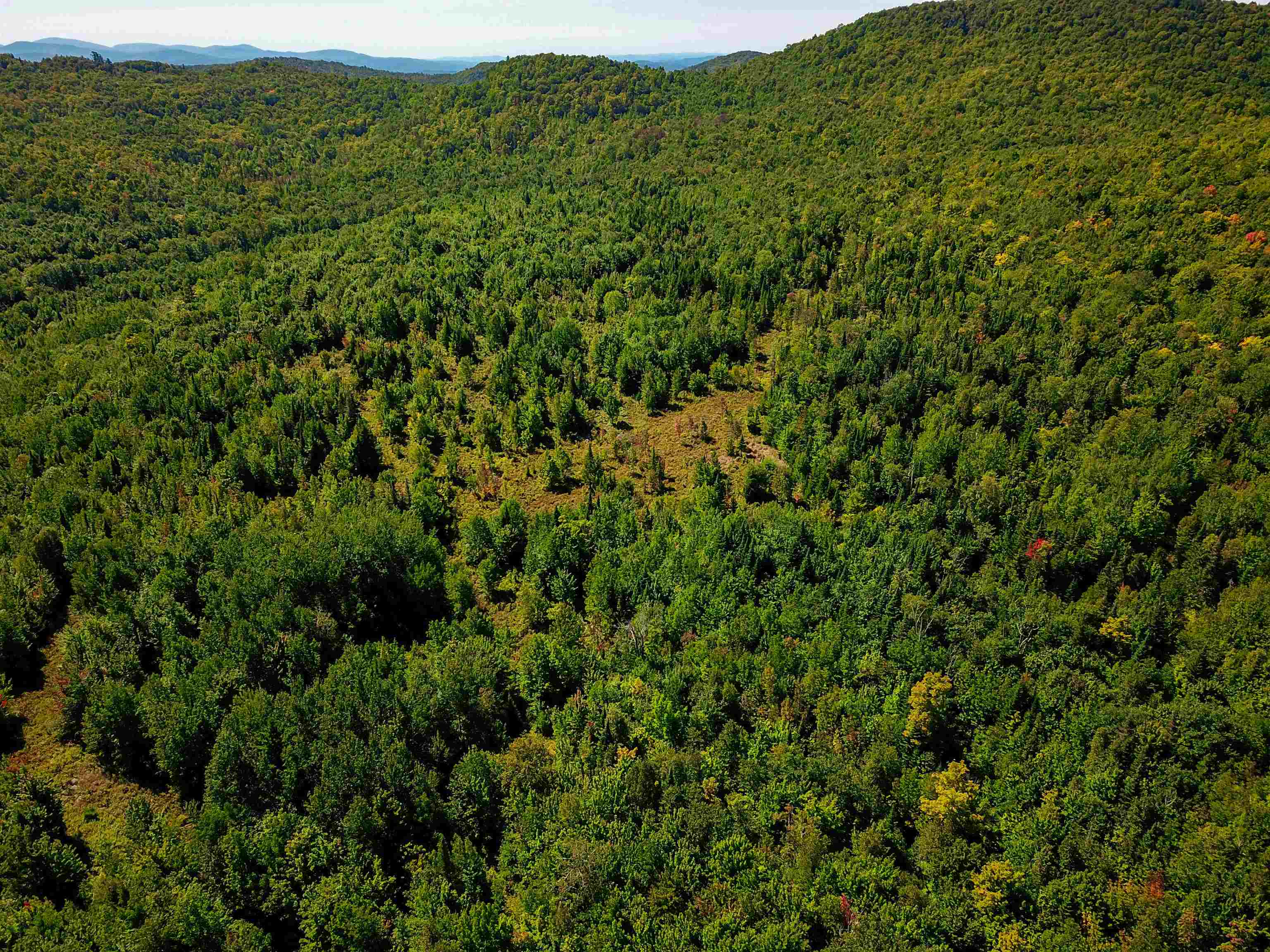 522 Mt. Misery Road Property Photo 36