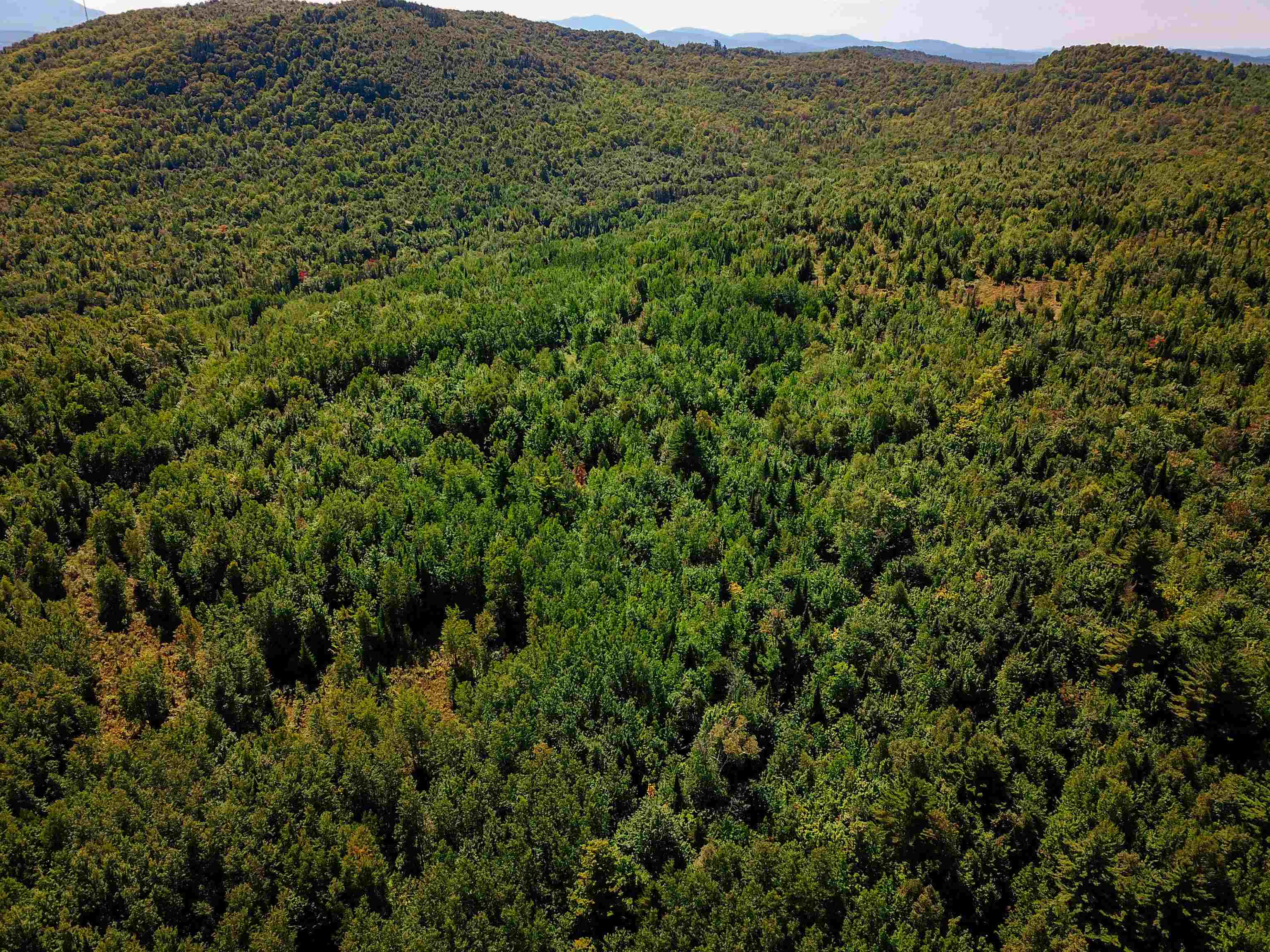 522 Mt. Misery Road Property Photo 37