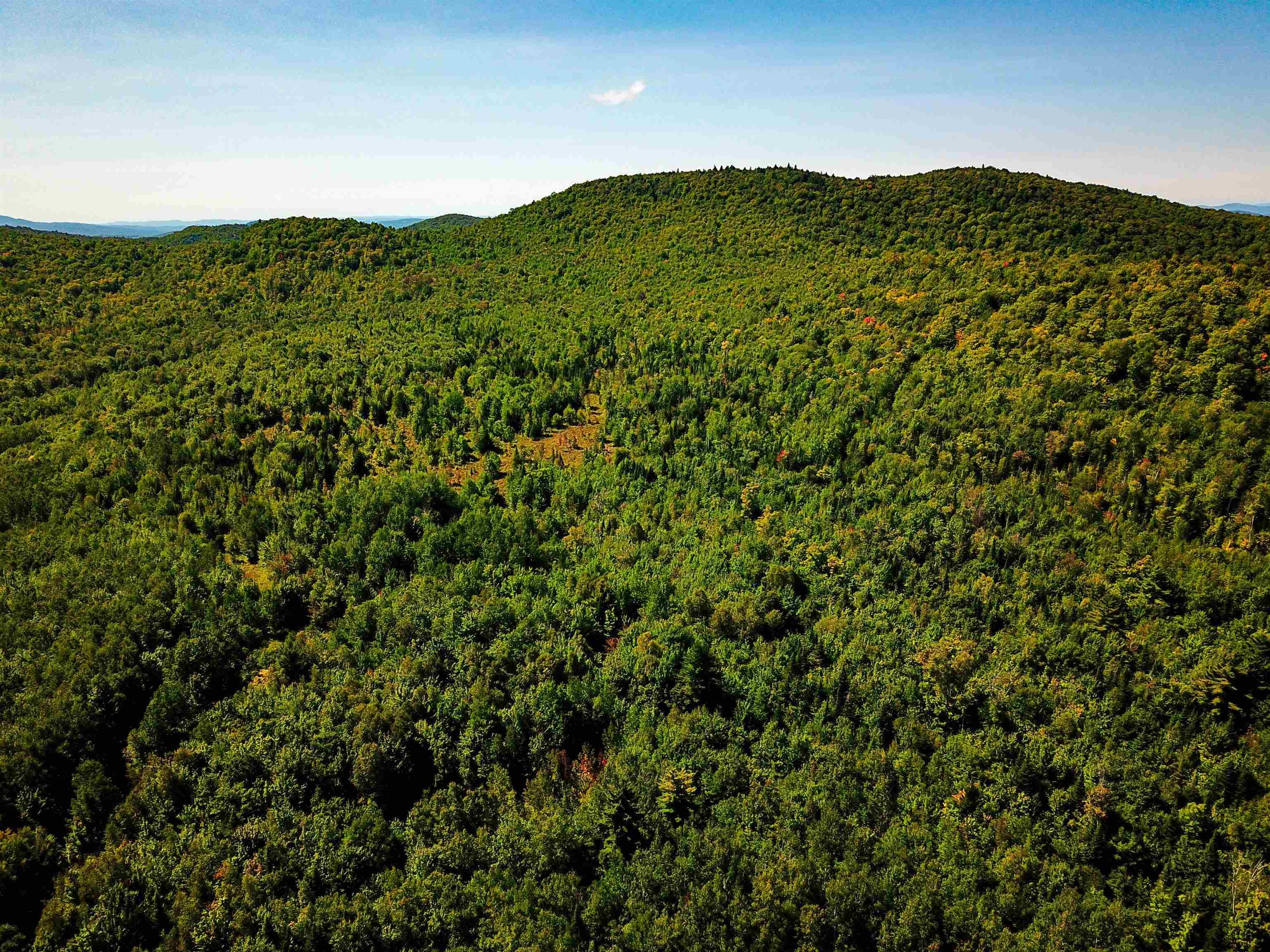 522 Mt. Misery Road Property Photo 38