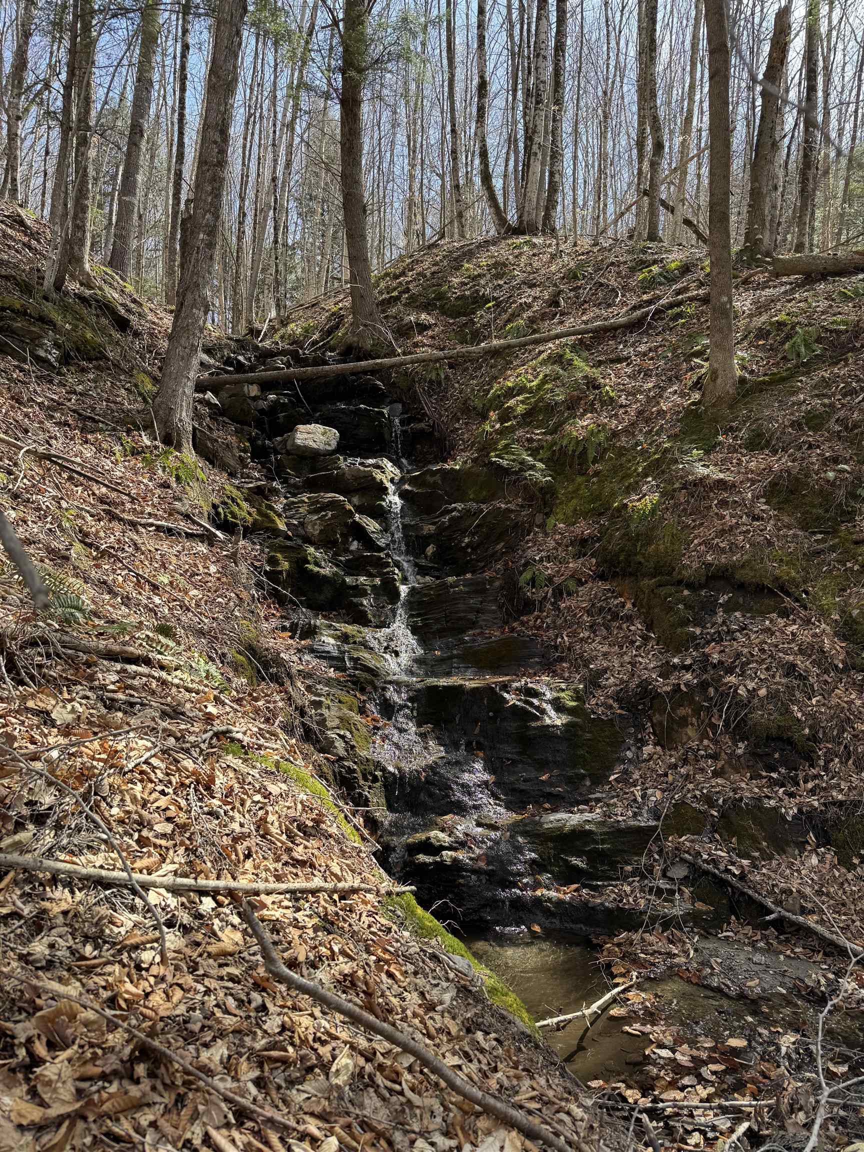 0000 Burke Hollow Road Property Photo