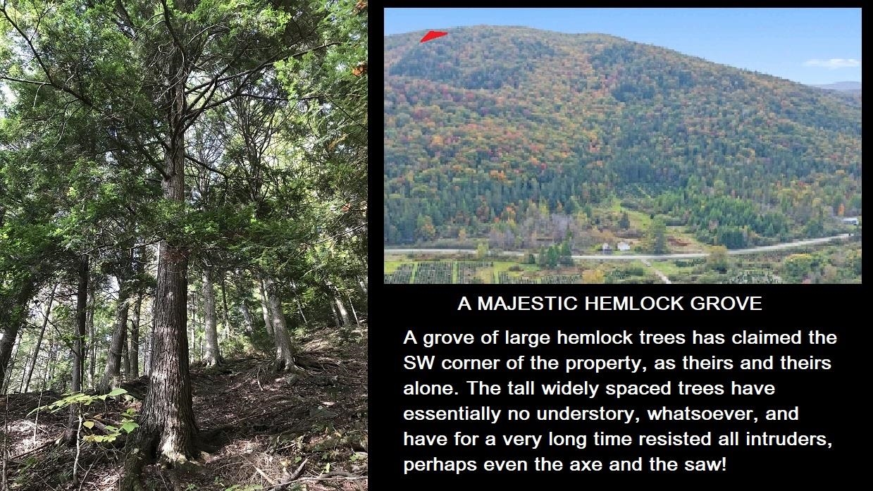 92 Bishop Brook Road Property Photo 20