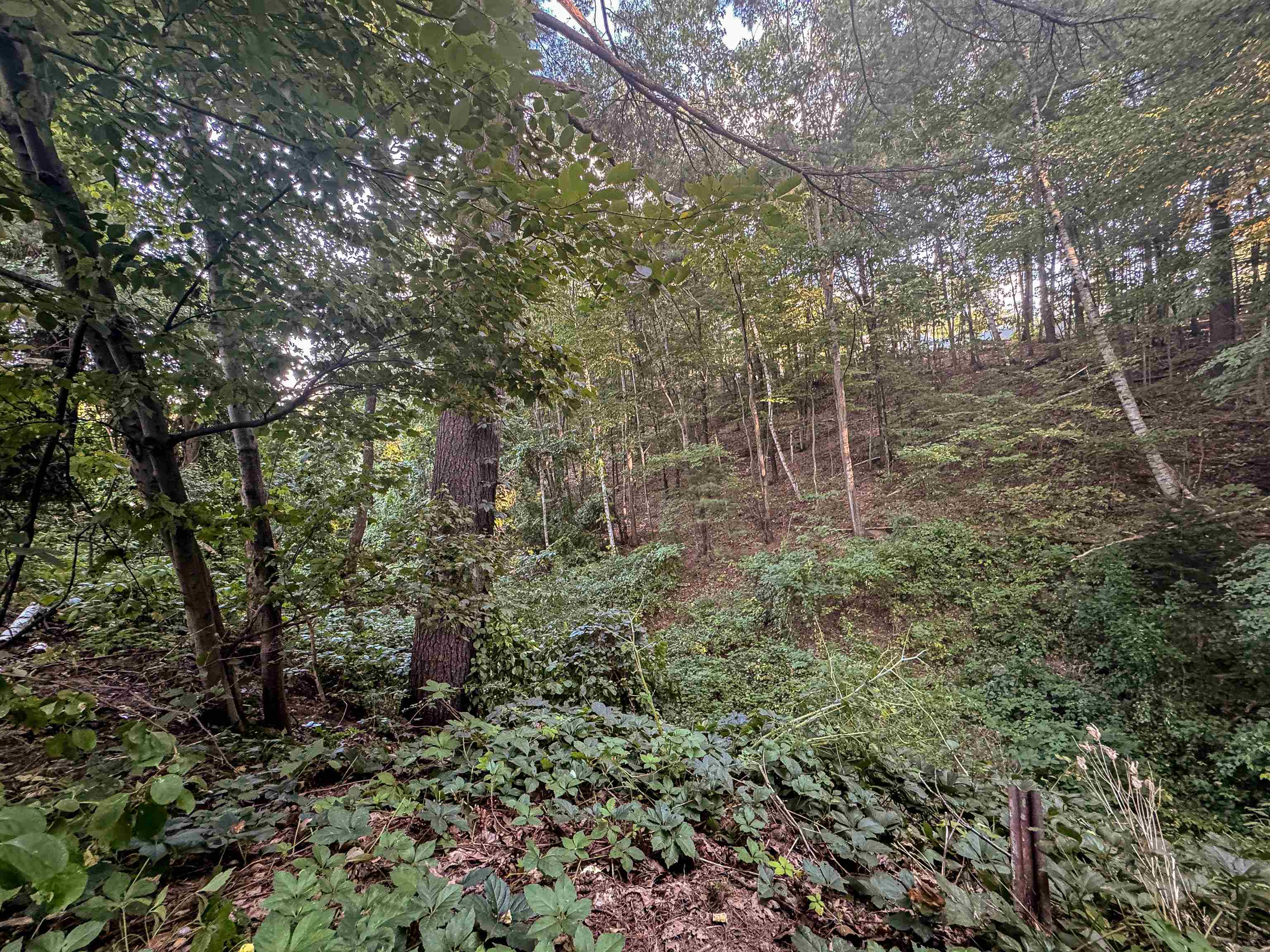 Tbd St James Avenue Property Photo 10