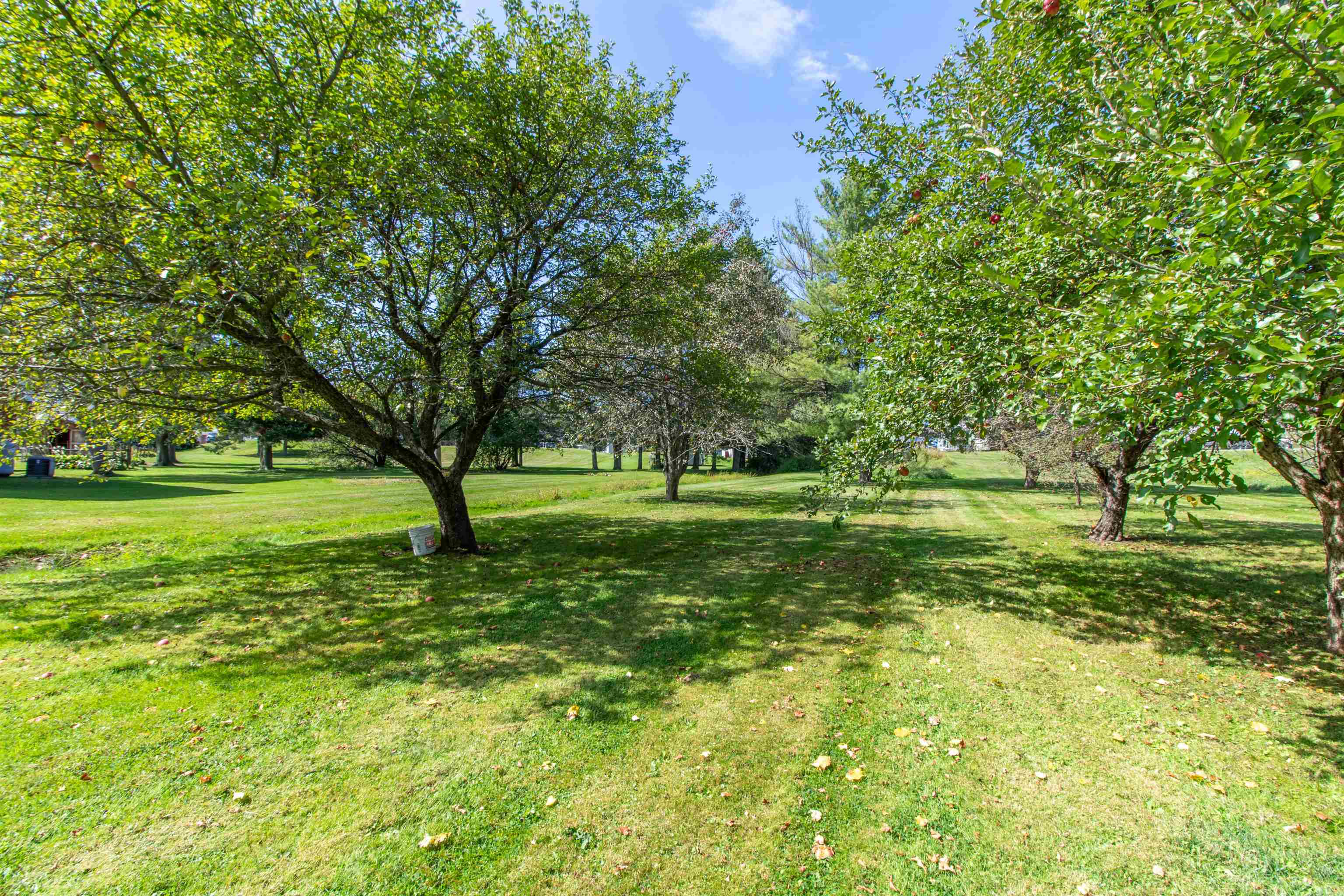 6694 Vt Route 100 Property Photo 6