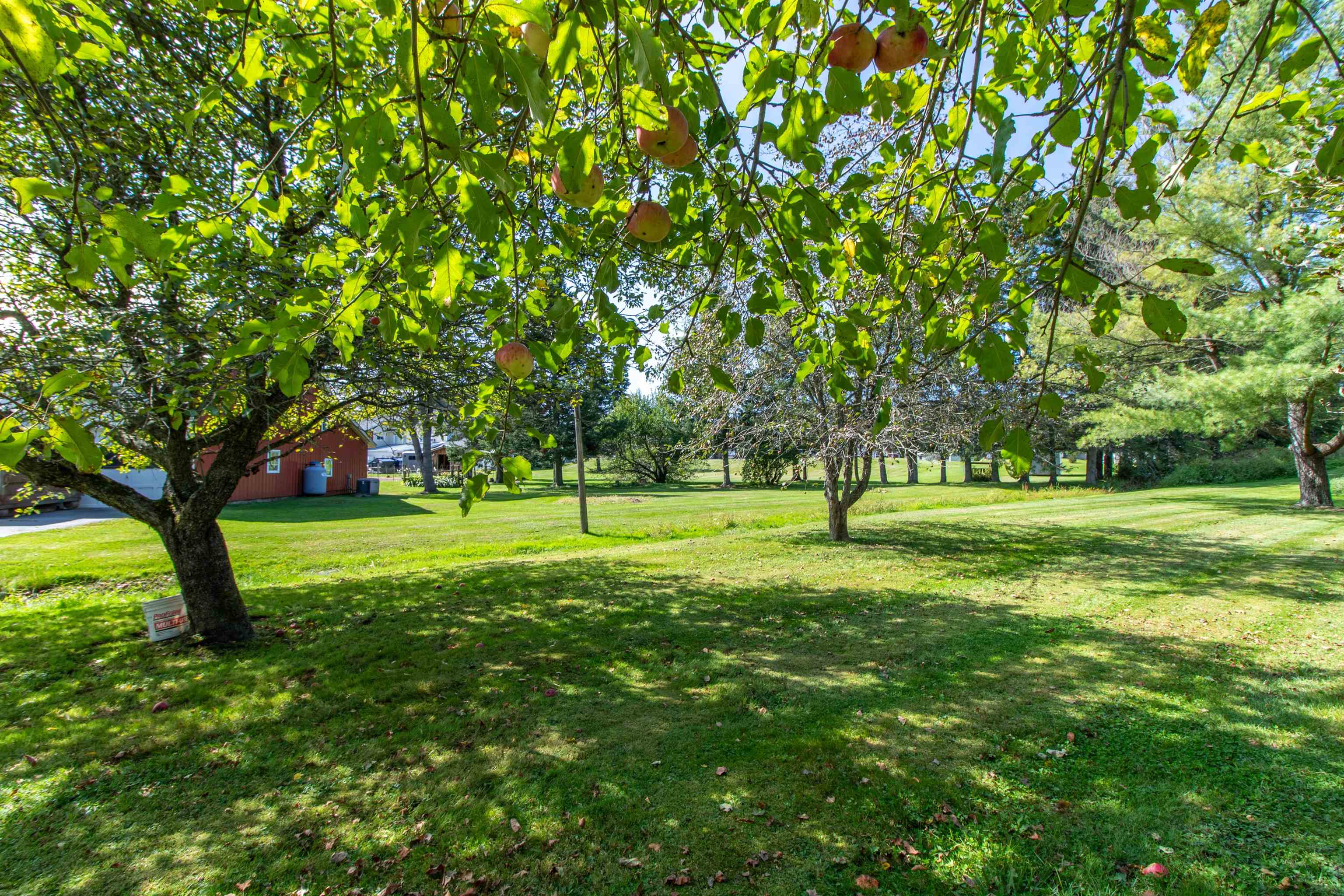 6694 Vt Route 100 Property Photo 52