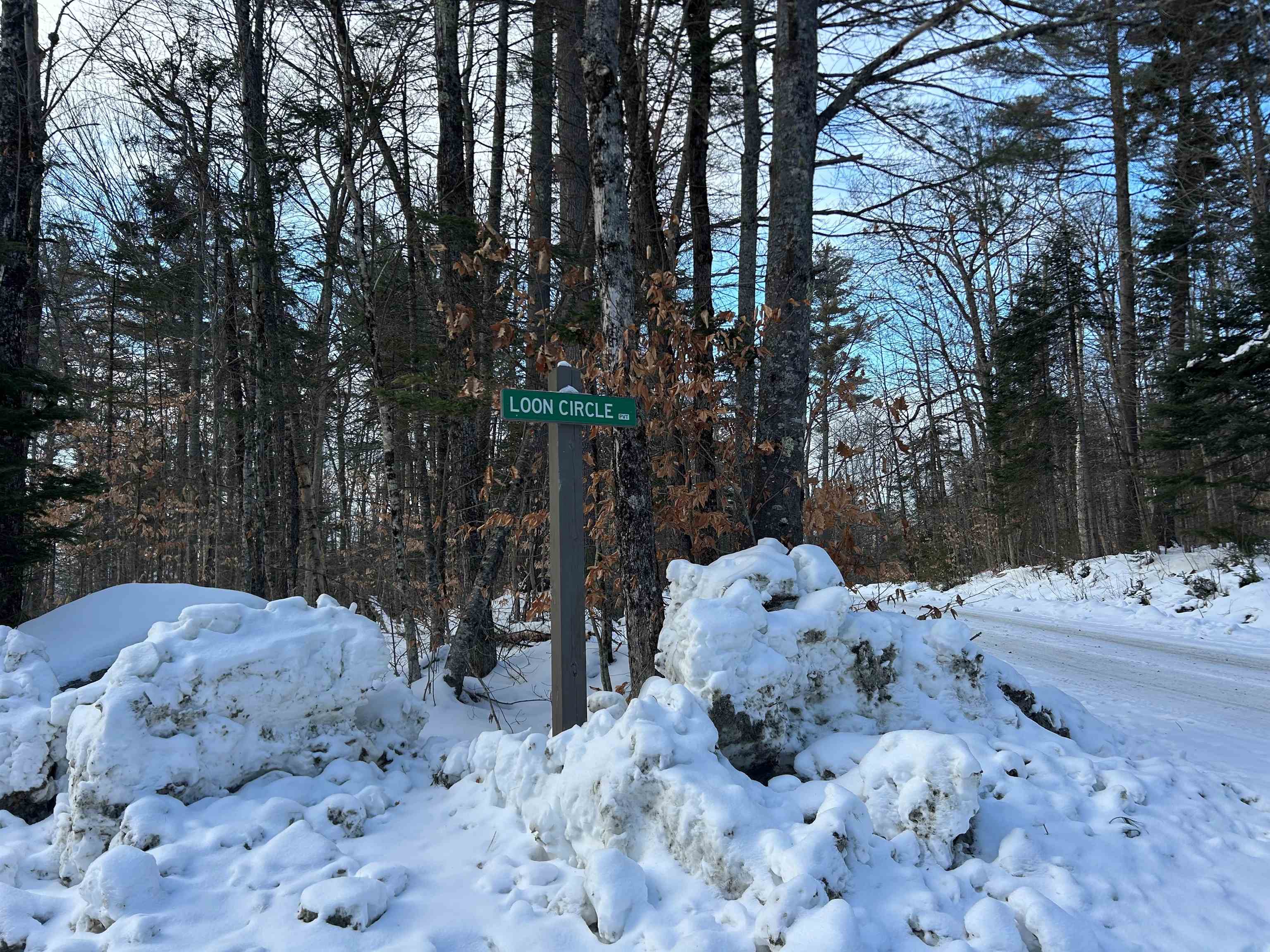 00 Loon Circle Property Photo 1
