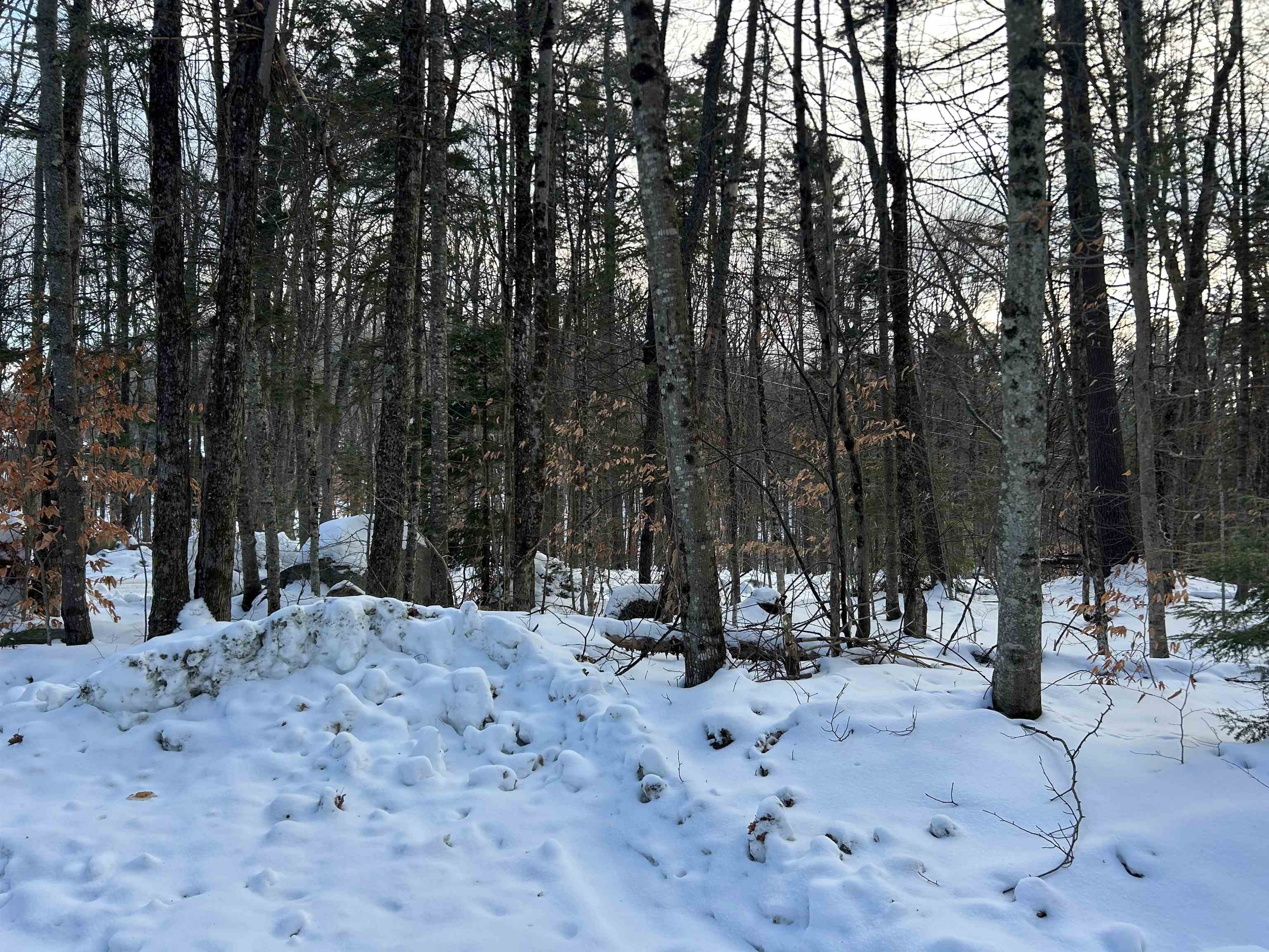 00 Loon Circle Property Photo 2