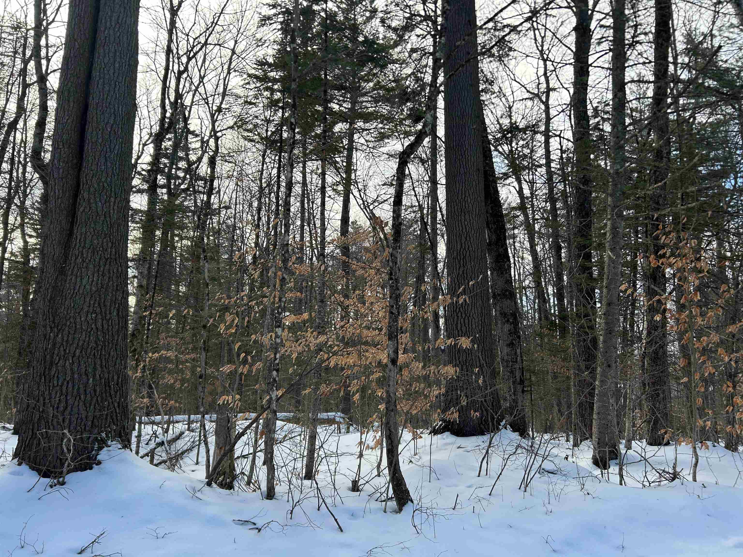 00 Loon Circle Property Photo 3