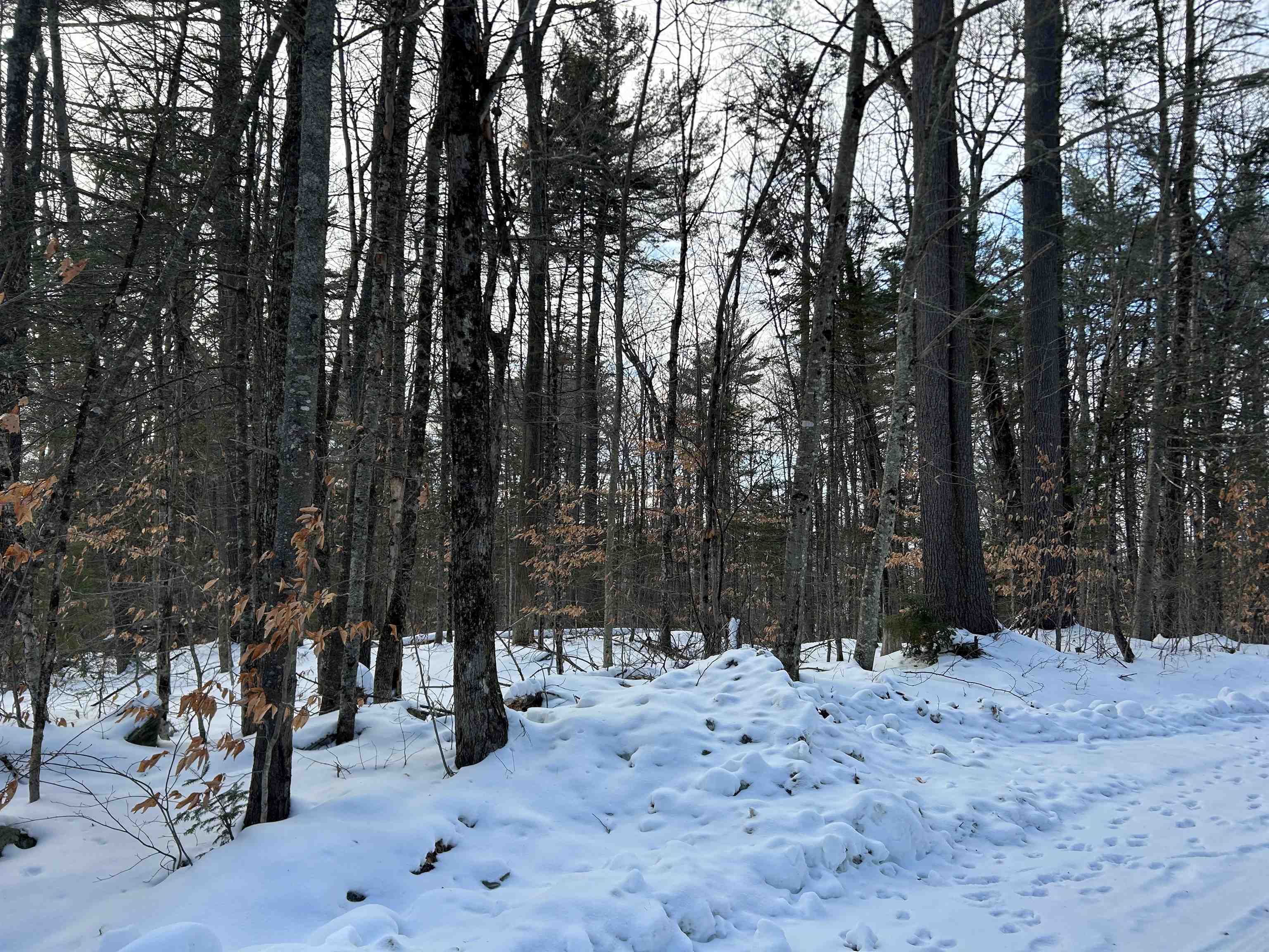 00 Loon Circle Property Photo 4