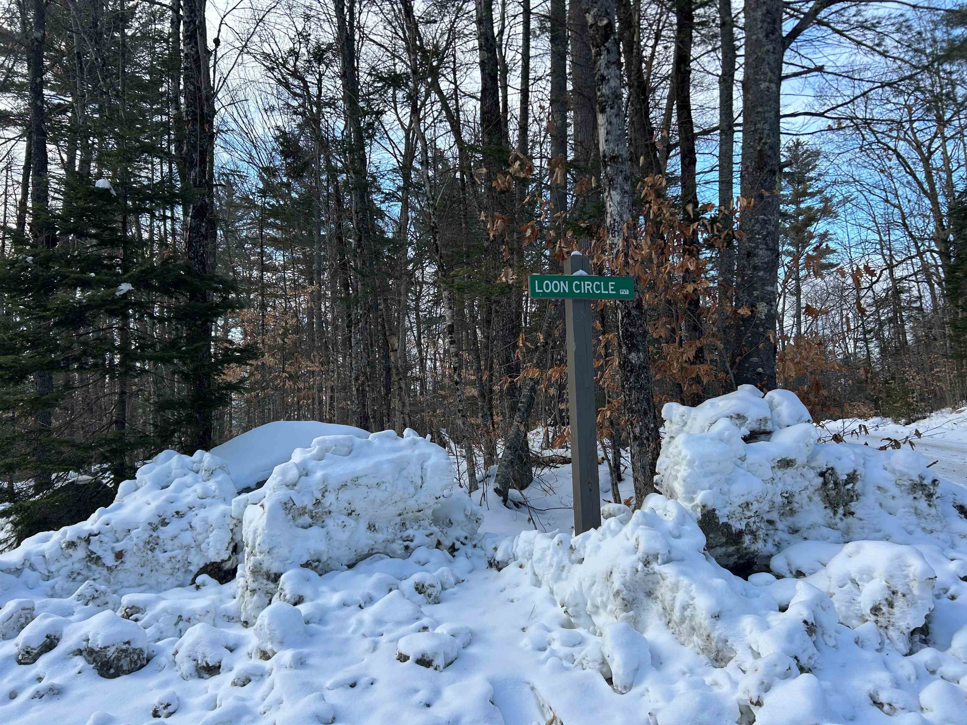00 Loon Circle Property Photo 7