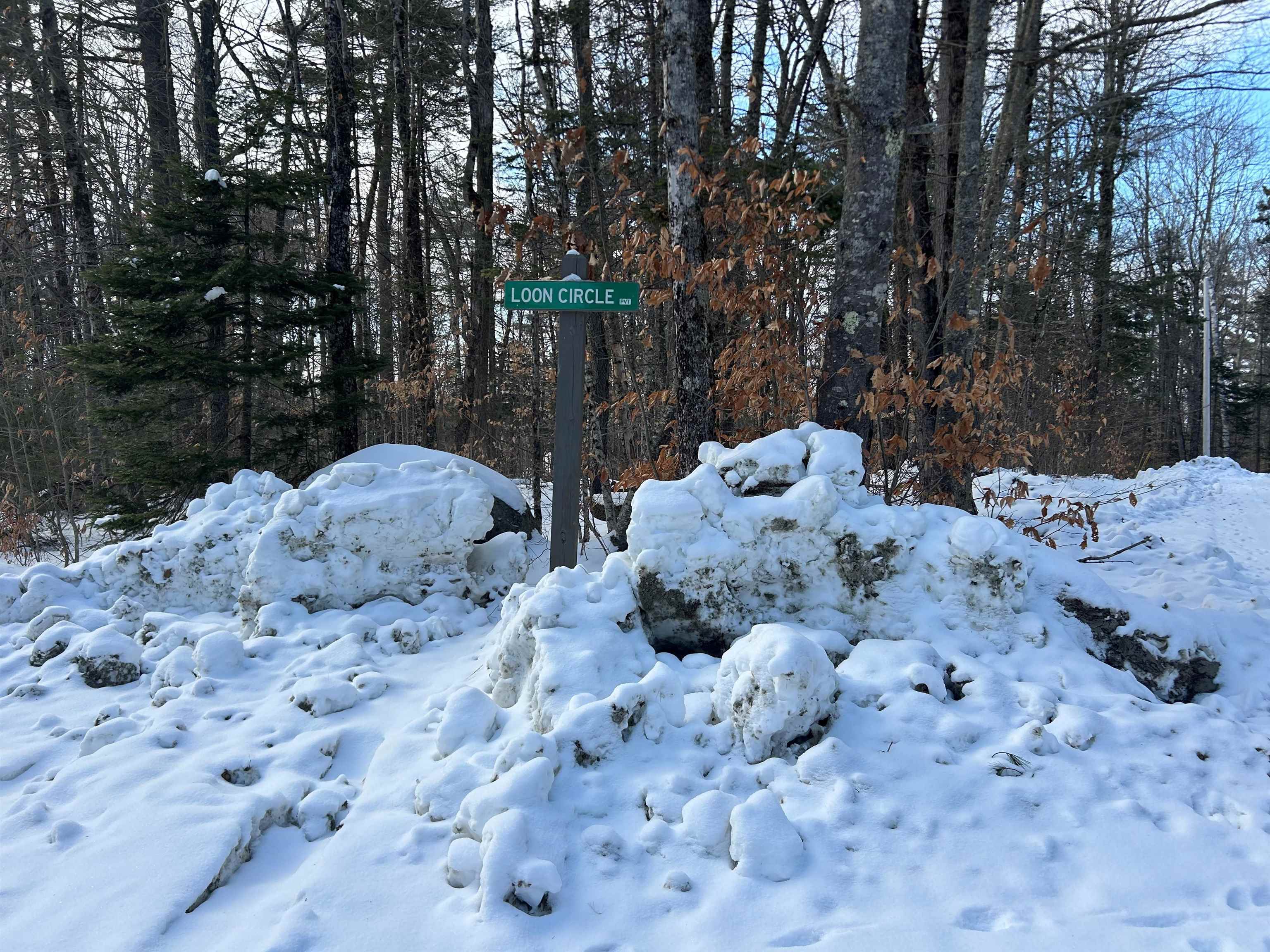 00 Loon Circle Property Photo 8