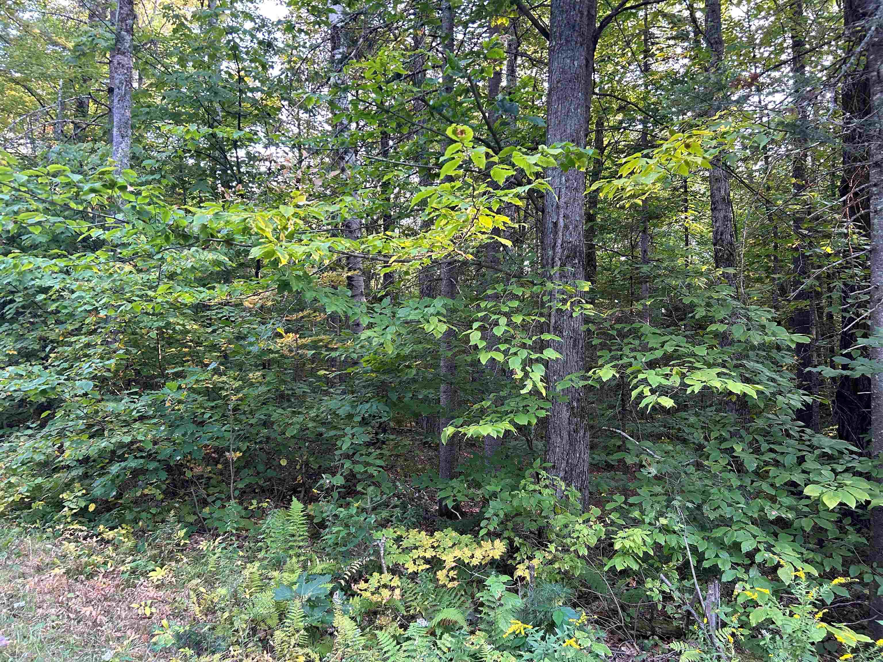 00 Loon Circle Property Photo 11