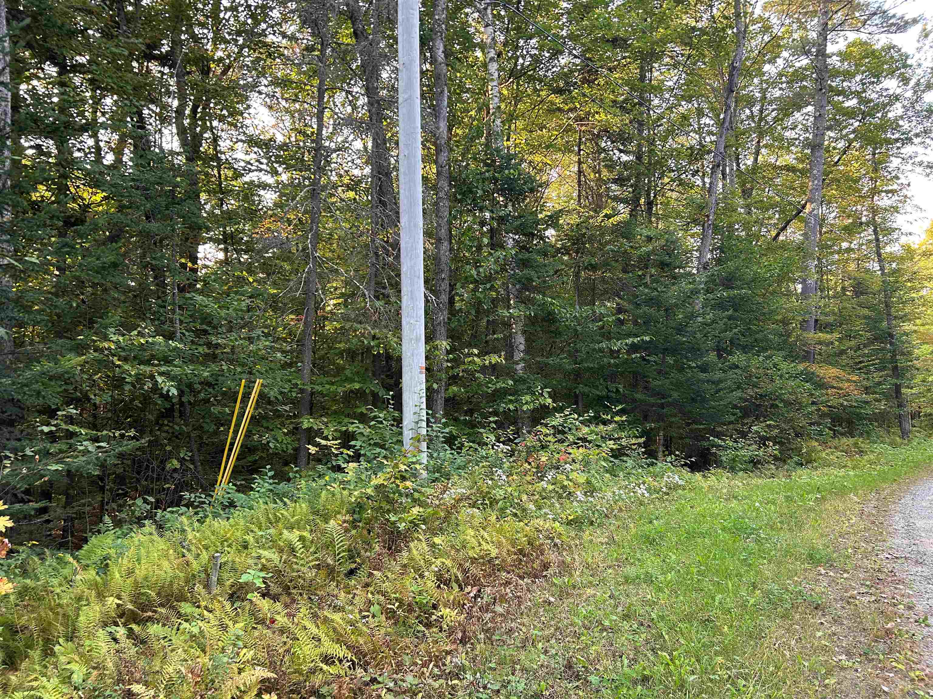 00 Loon Circle Property Photo 12