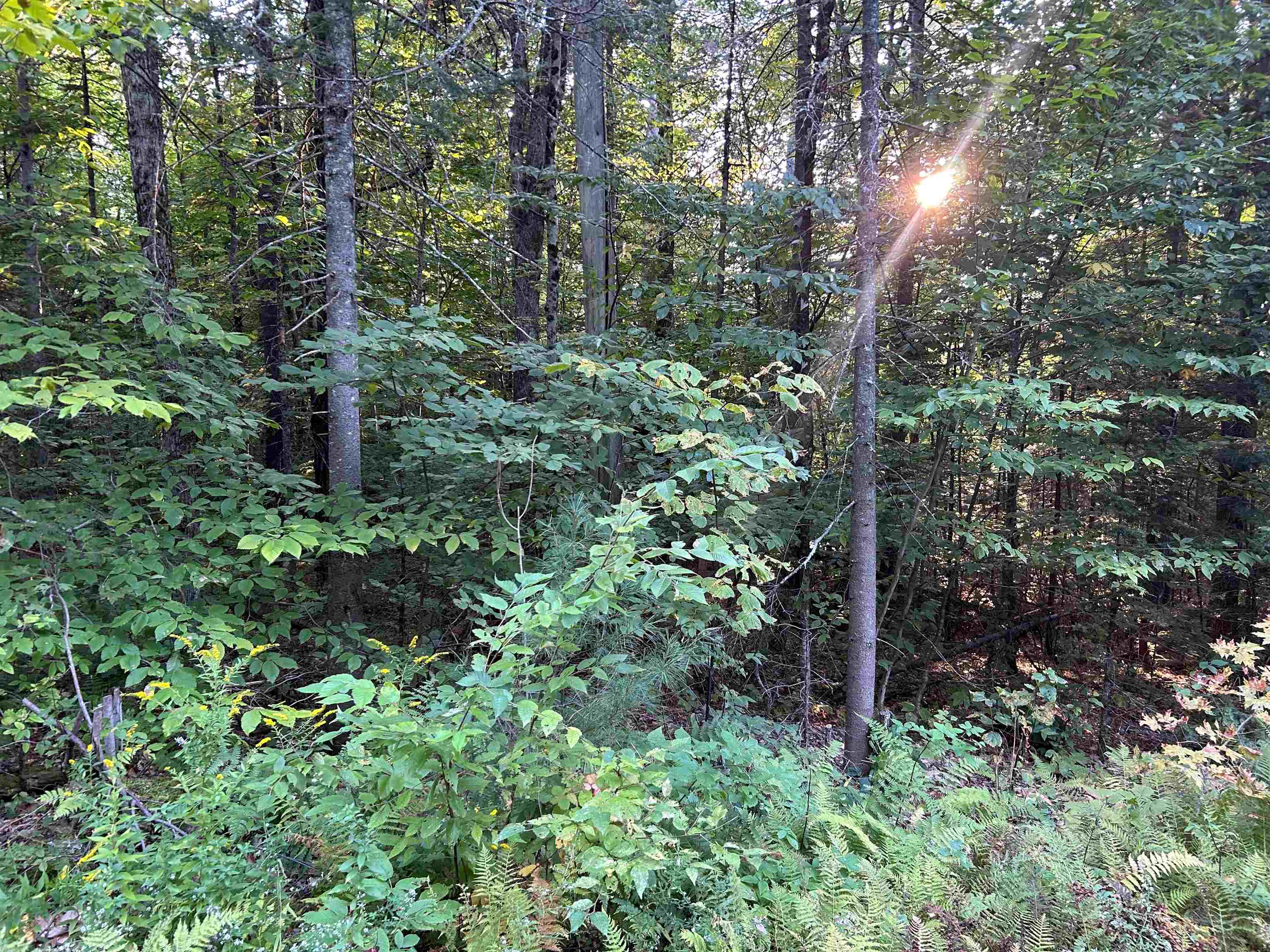 00 Loon Circle Property Photo 13