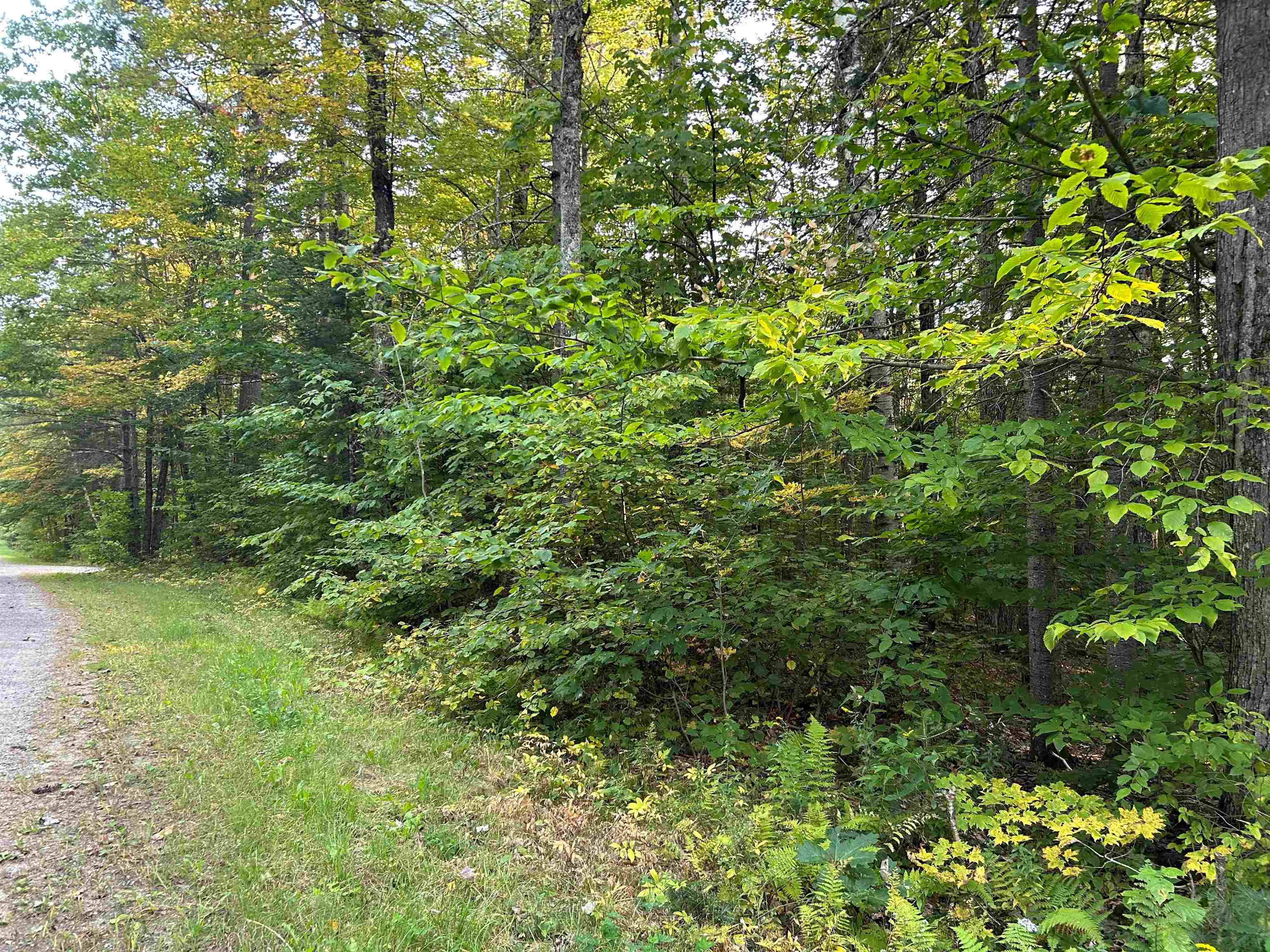 00 Loon Circle Property Photo 14