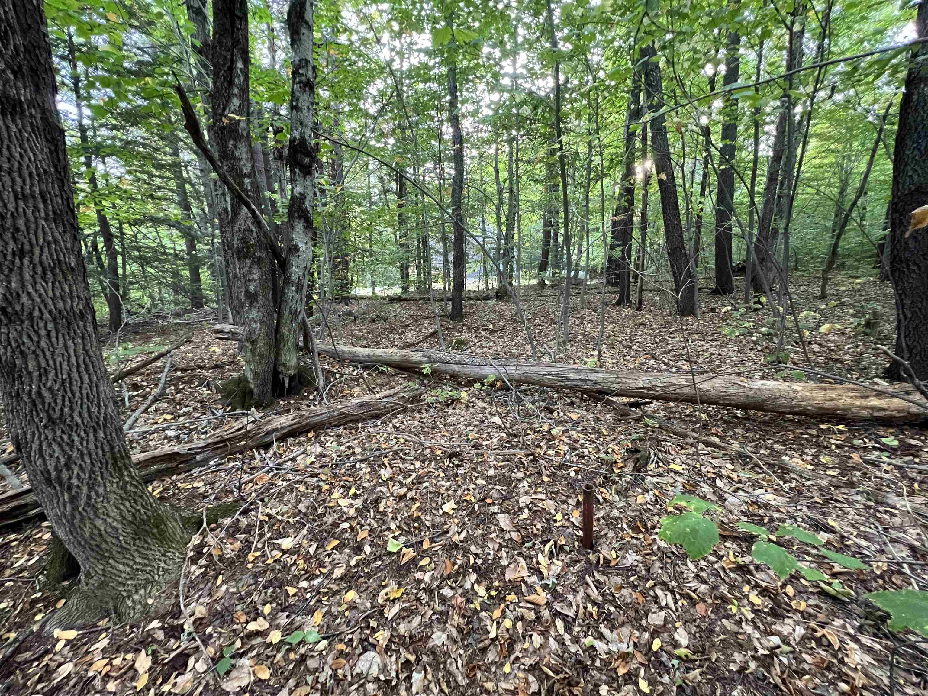 Oak Hill Road Property Photo