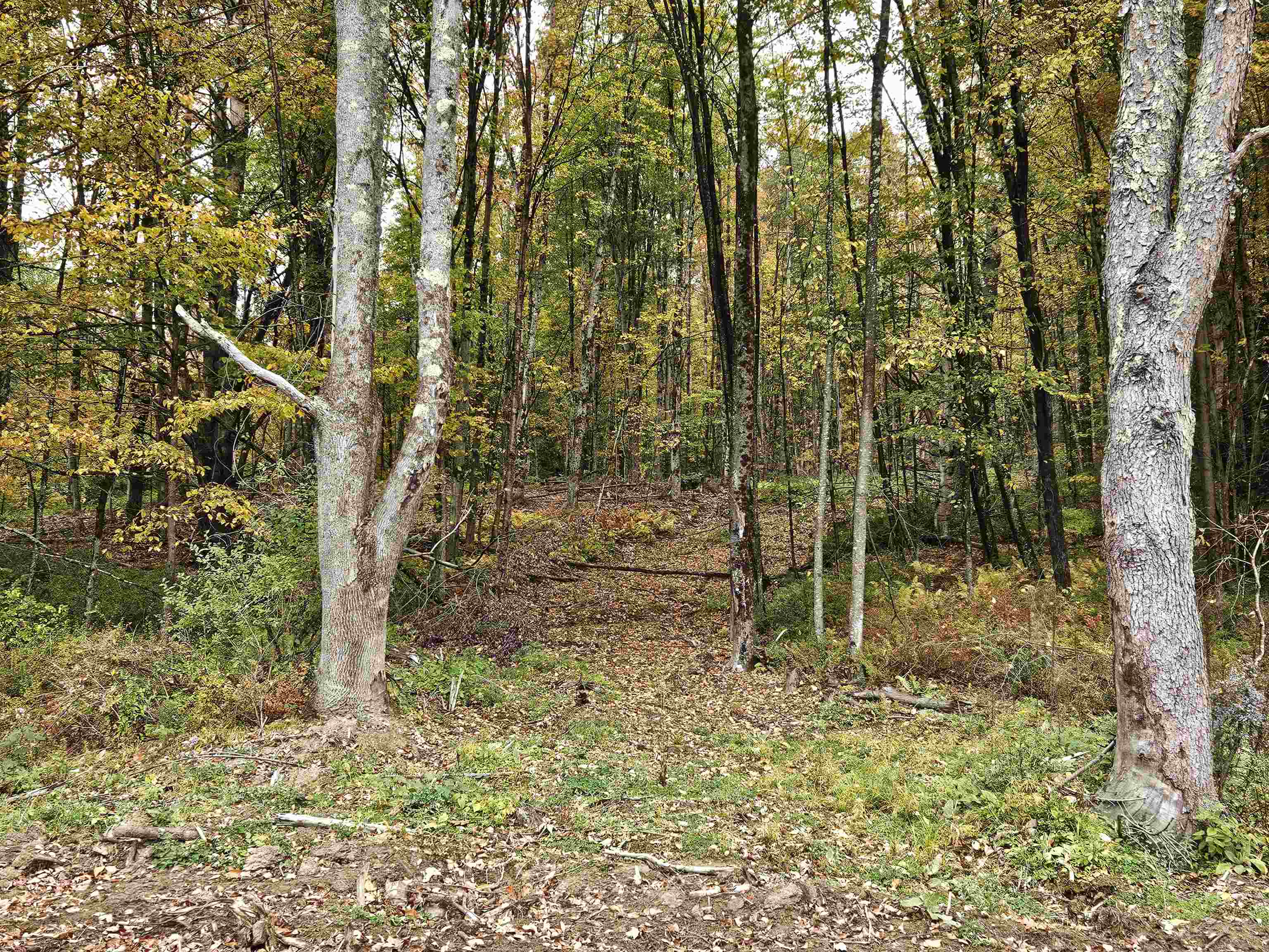 333 Creek Road Property Photo 10