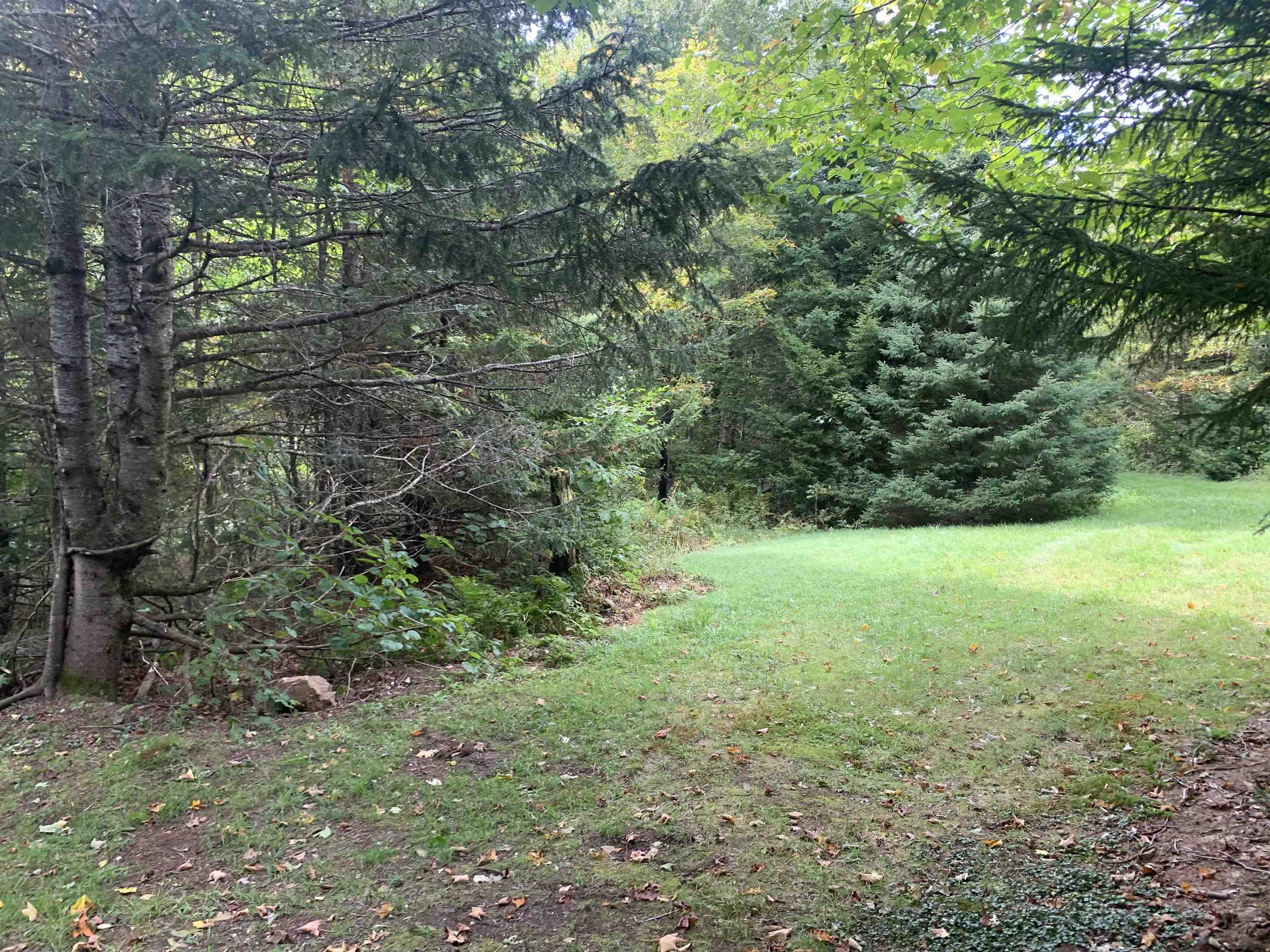 00 Bog Branch Road Property Photo 22