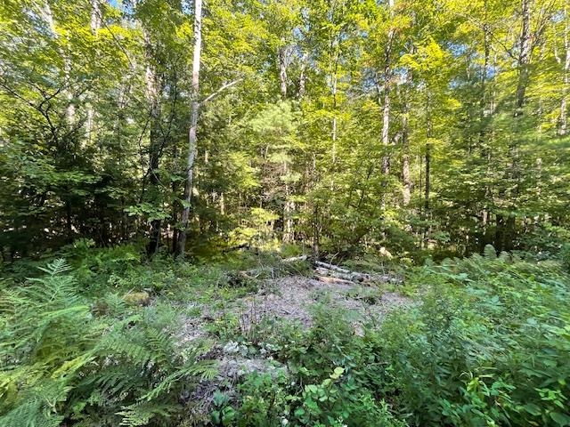 00 Whitney Road Property Photo 17