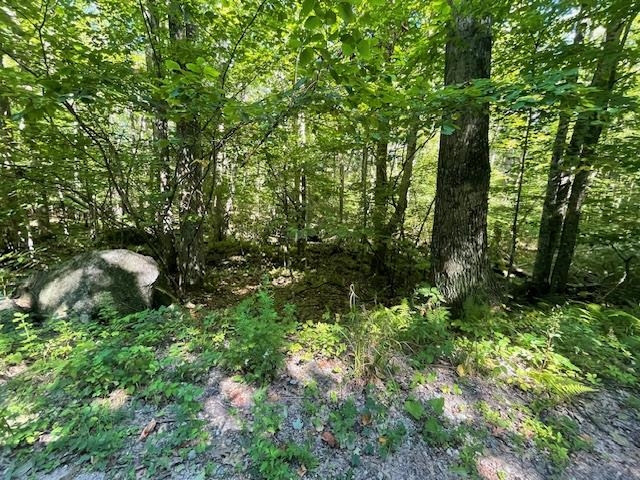 00 Whitney Road Property Photo 18