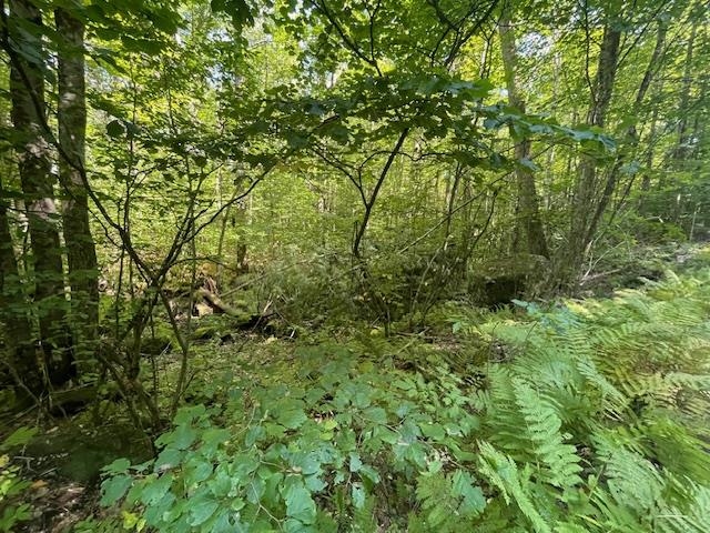 00 Whitney Road Property Photo 19