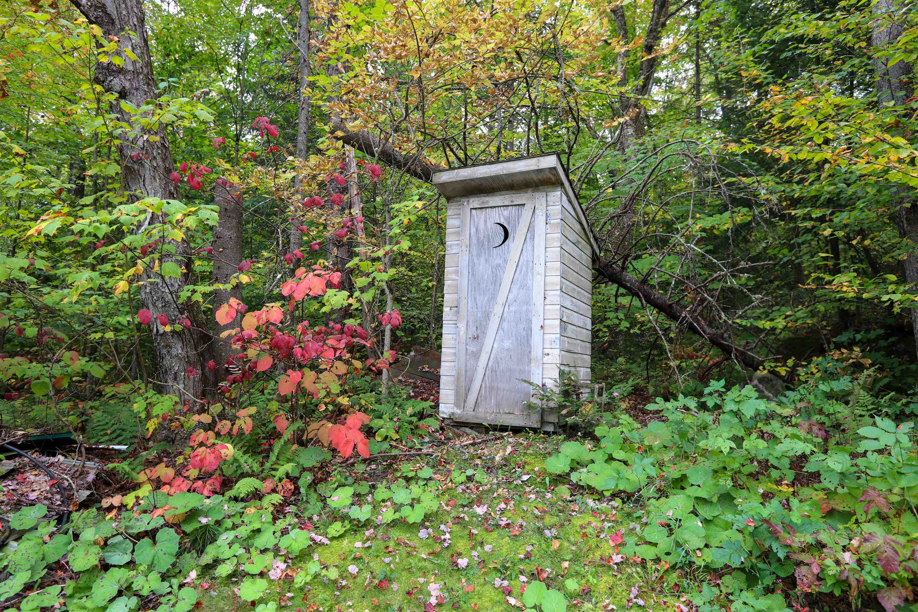 1045 Devils Hill Road Property Photo 28