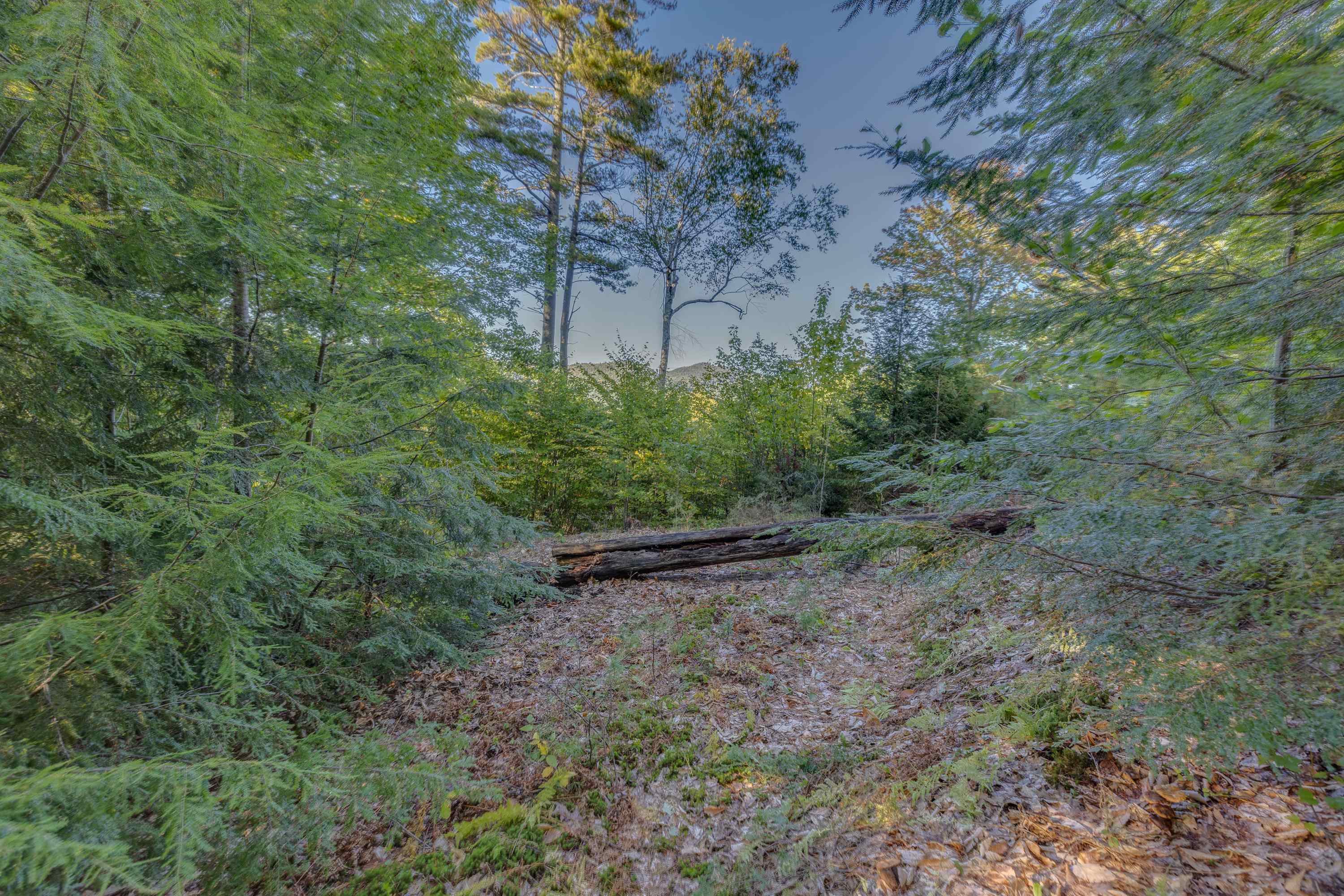 00 Perkins Lane Property Photo 4