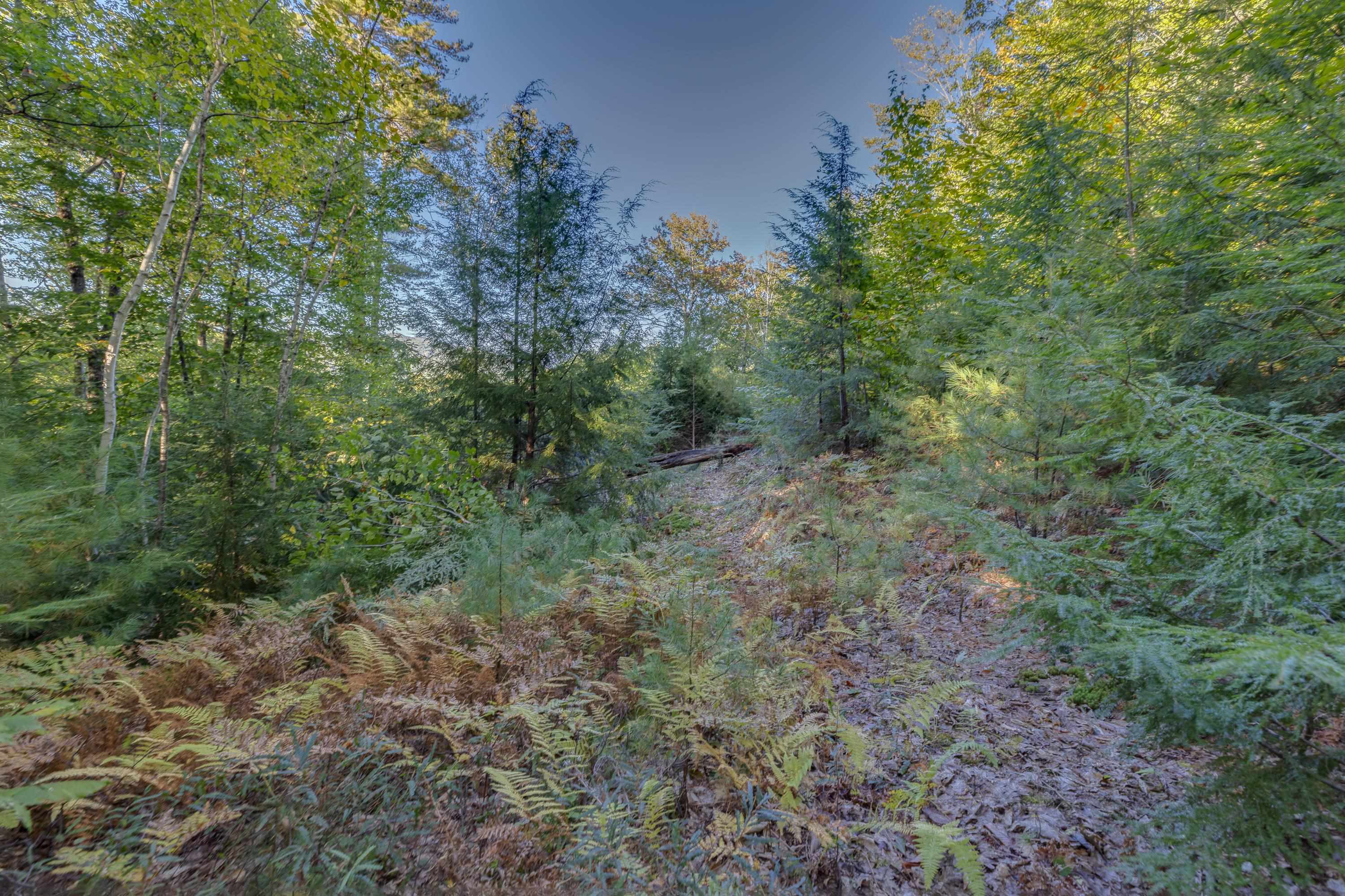 00 Perkins Lane Property Photo 7