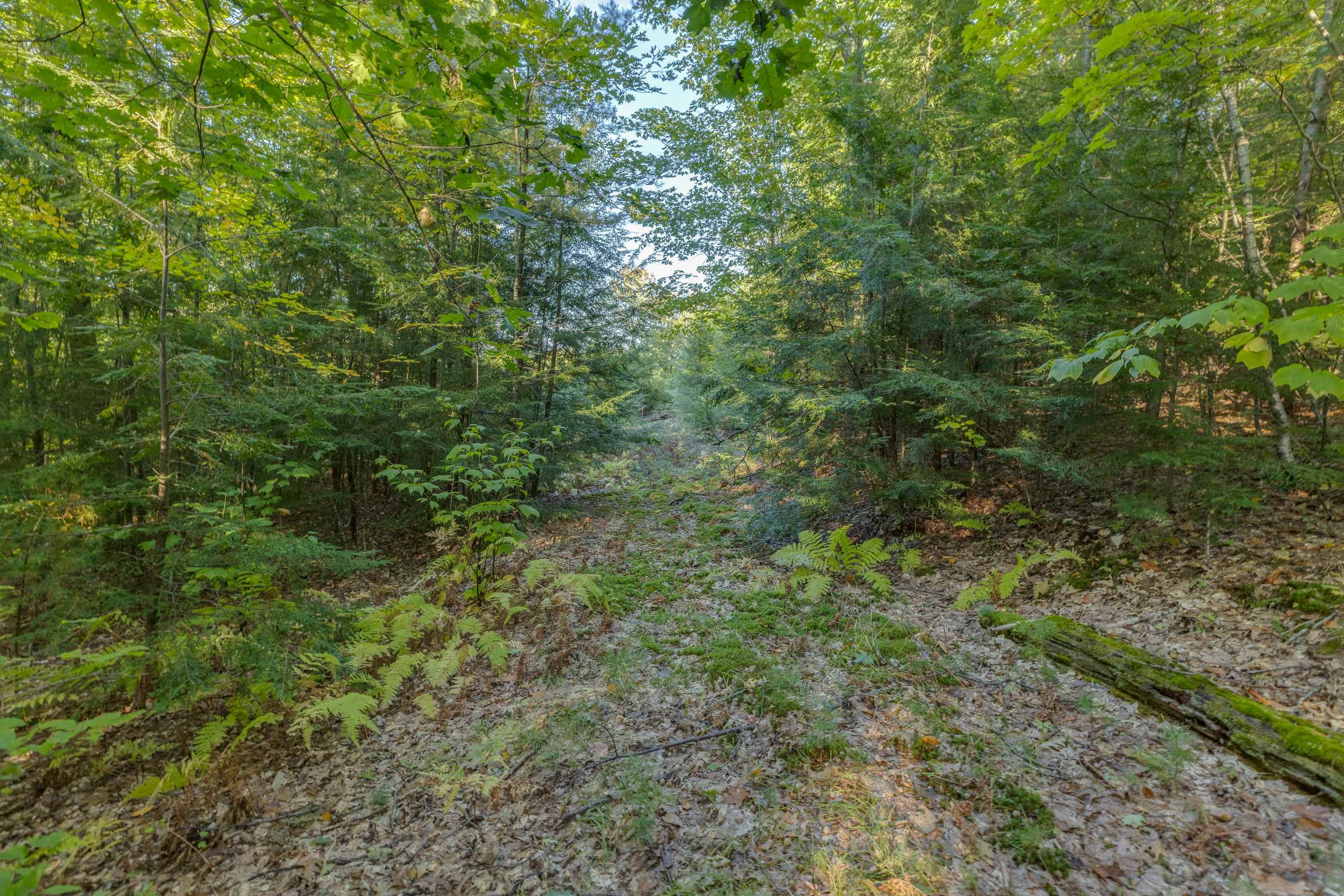 00 Perkins Lane Property Photo 8