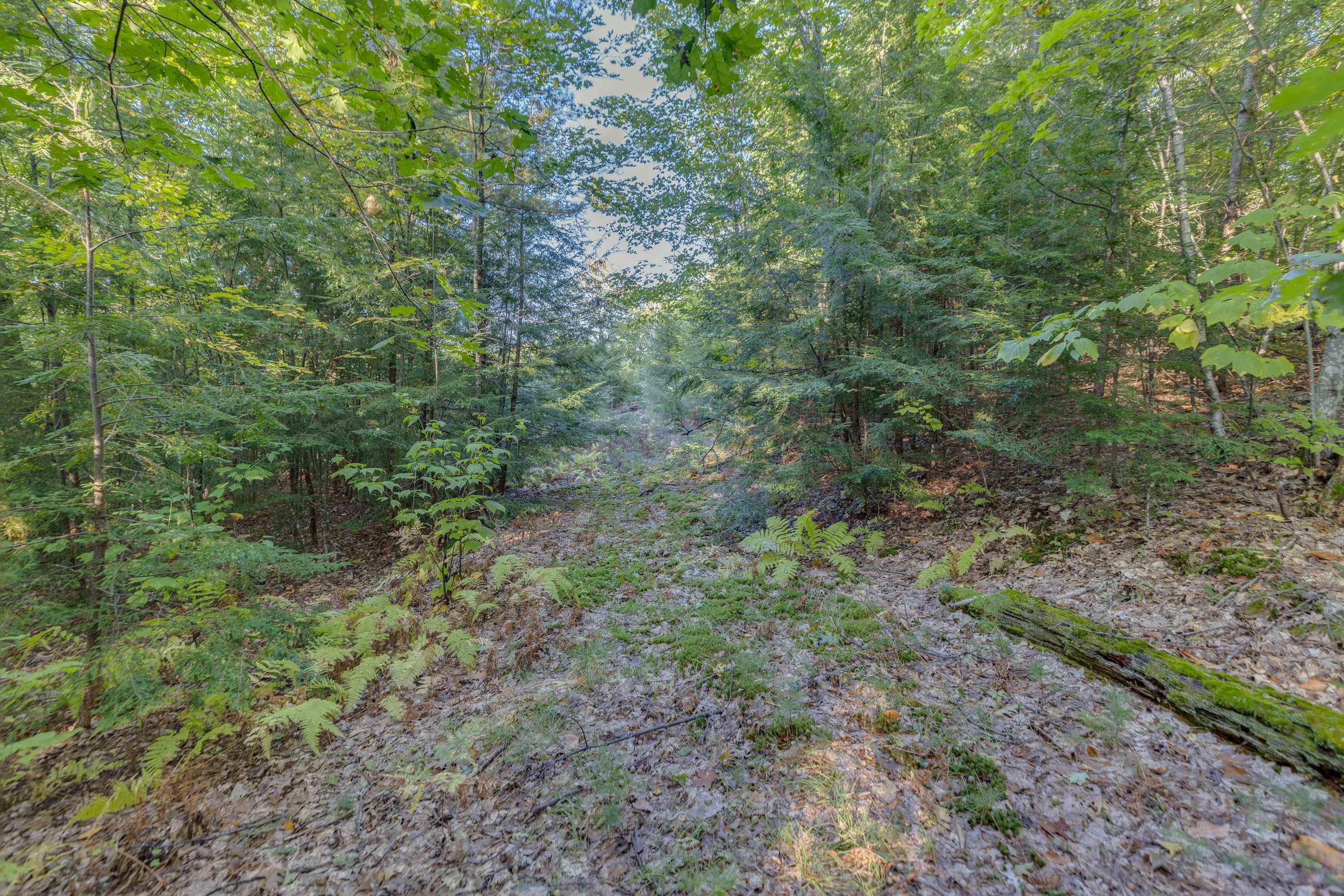 00 Perkins Lane Property Photo 9