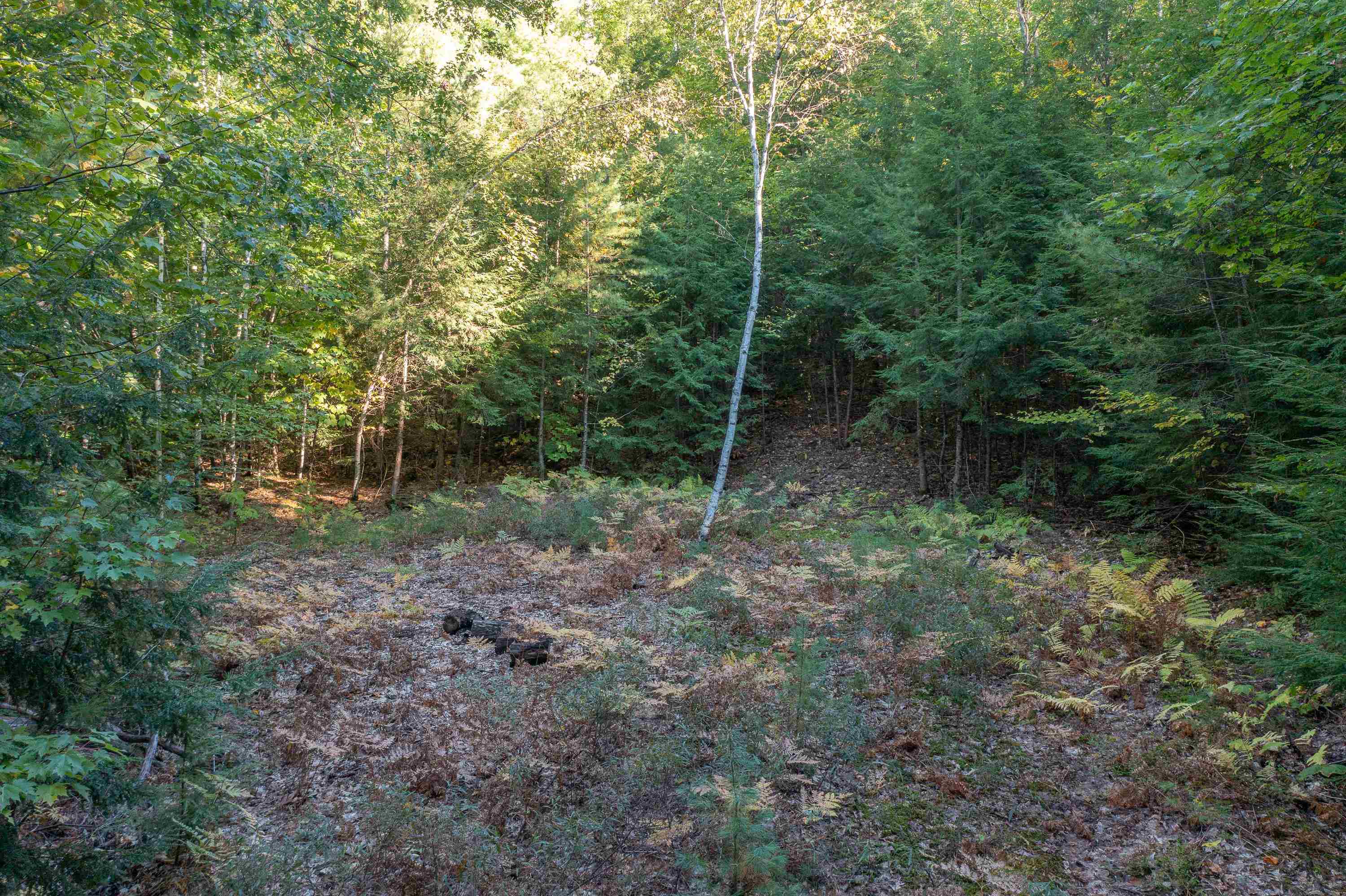 00 Perkins Lane Property Photo 16