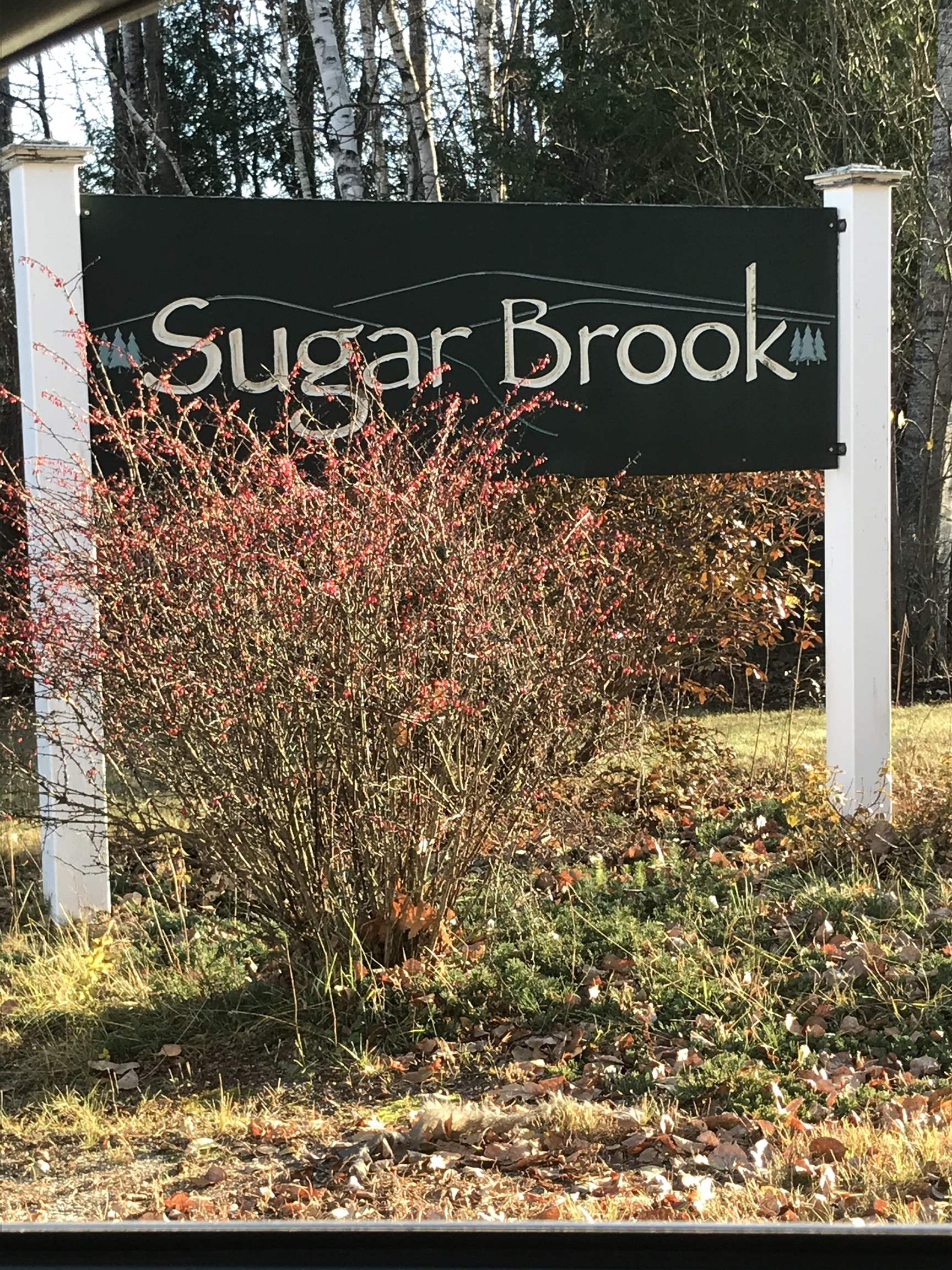 33 Brook View Road Property Photo 1