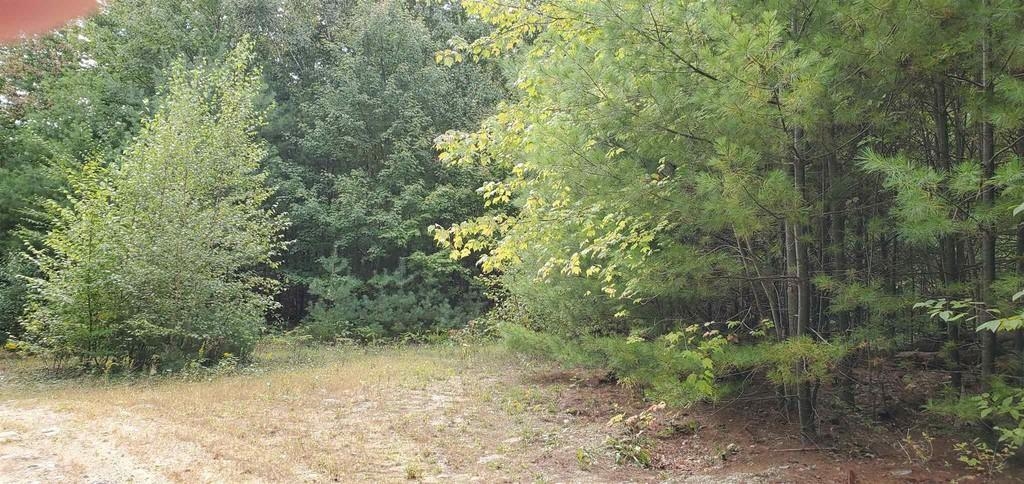 220 Stowell Road Property Photo 5