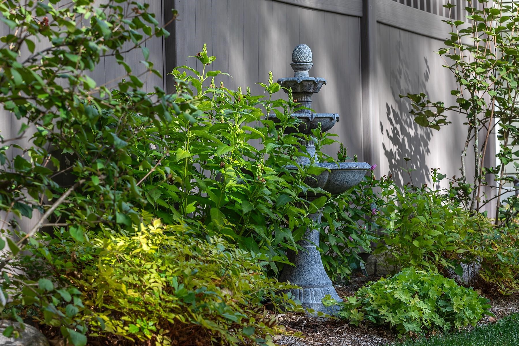 14 Gill Terrace Property Photo 49