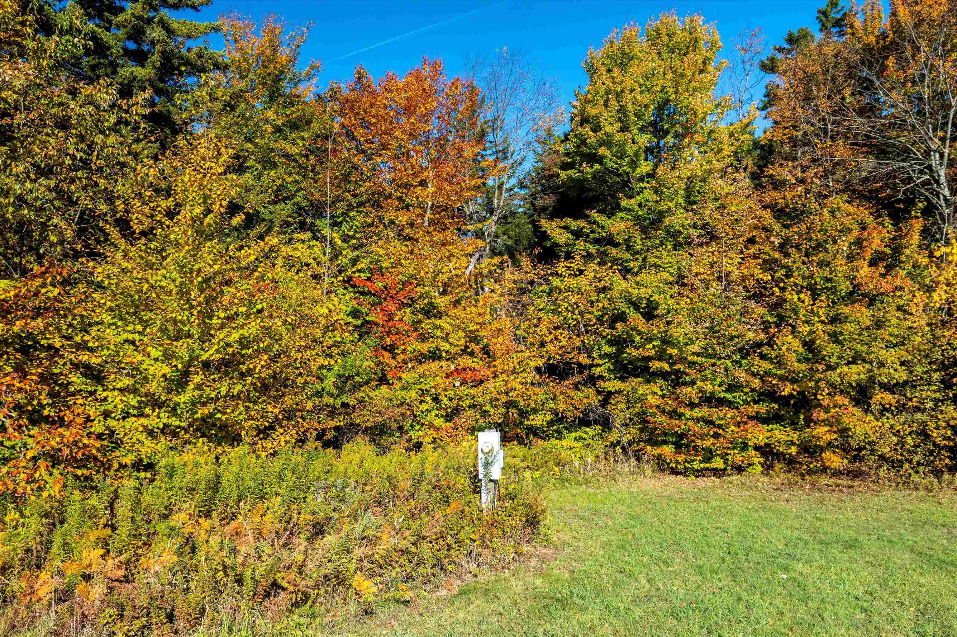8 Rice Hill Road Property Photo 24
