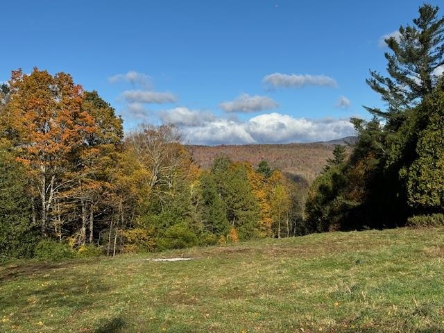 0 Mountain Hill Road Property Photo 1