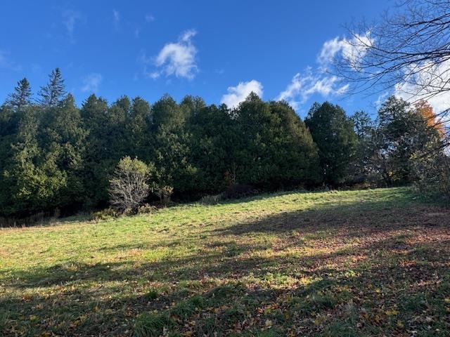 0 Mountain Hill Road Property Photo 2