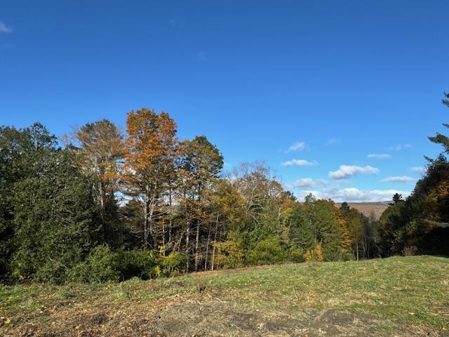 0 Mountain Hill Road Property Photo 3