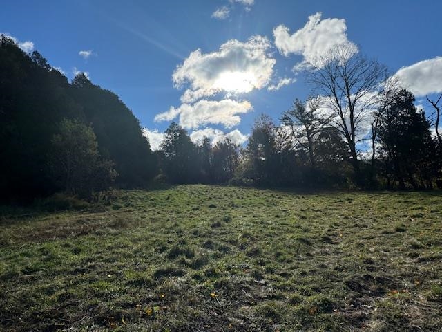 0 Mountain Hill Road Property Photo 4