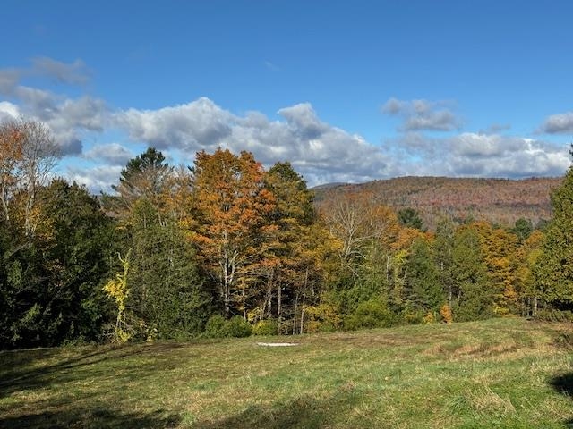 0 Mountain Hill Road Property Photo 8