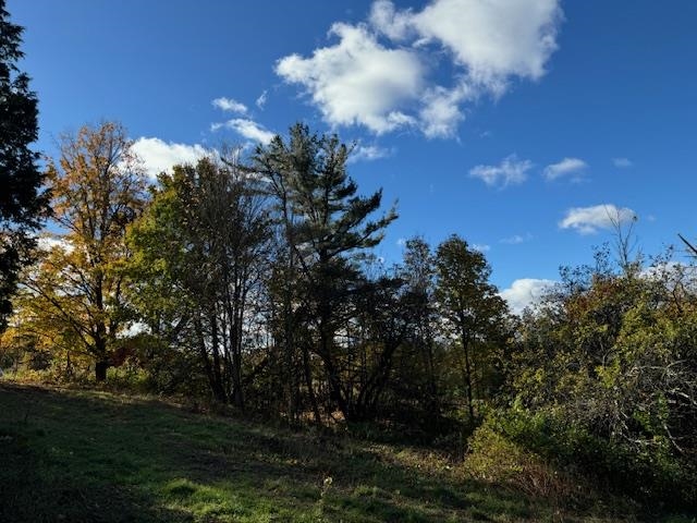 0 Mountain Hill Road Property Photo 10