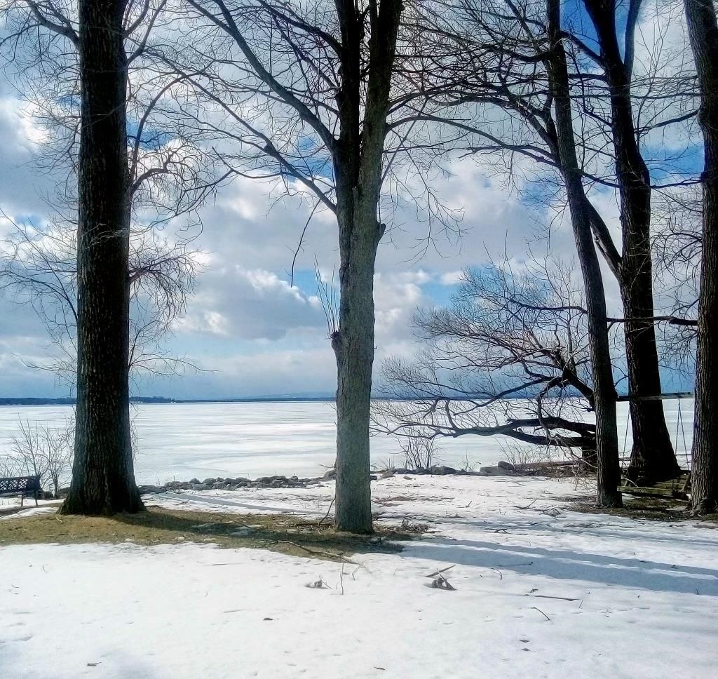 23 Mud Point South Property Photo 37