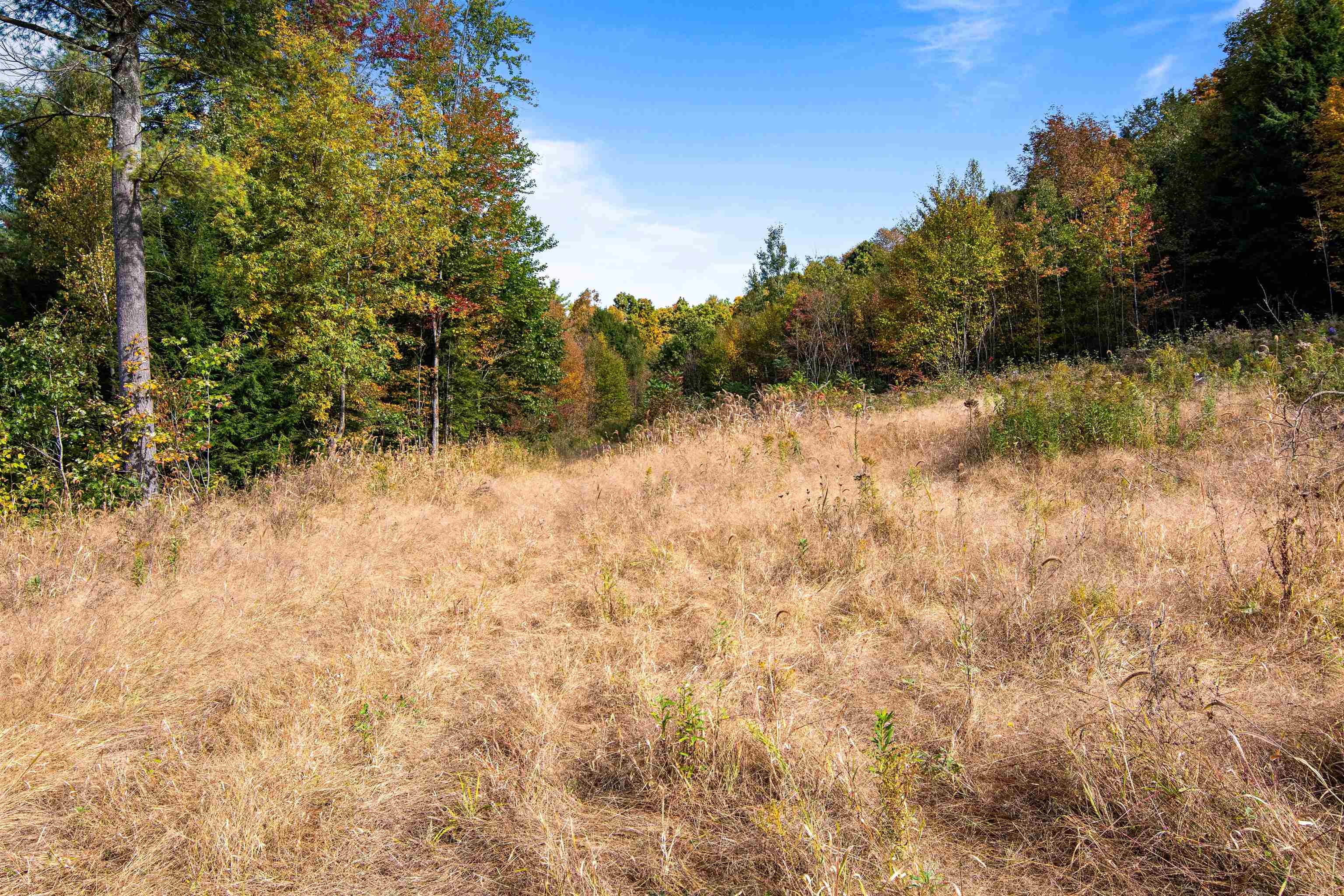 00 Raymo Drive Property Photo 32
