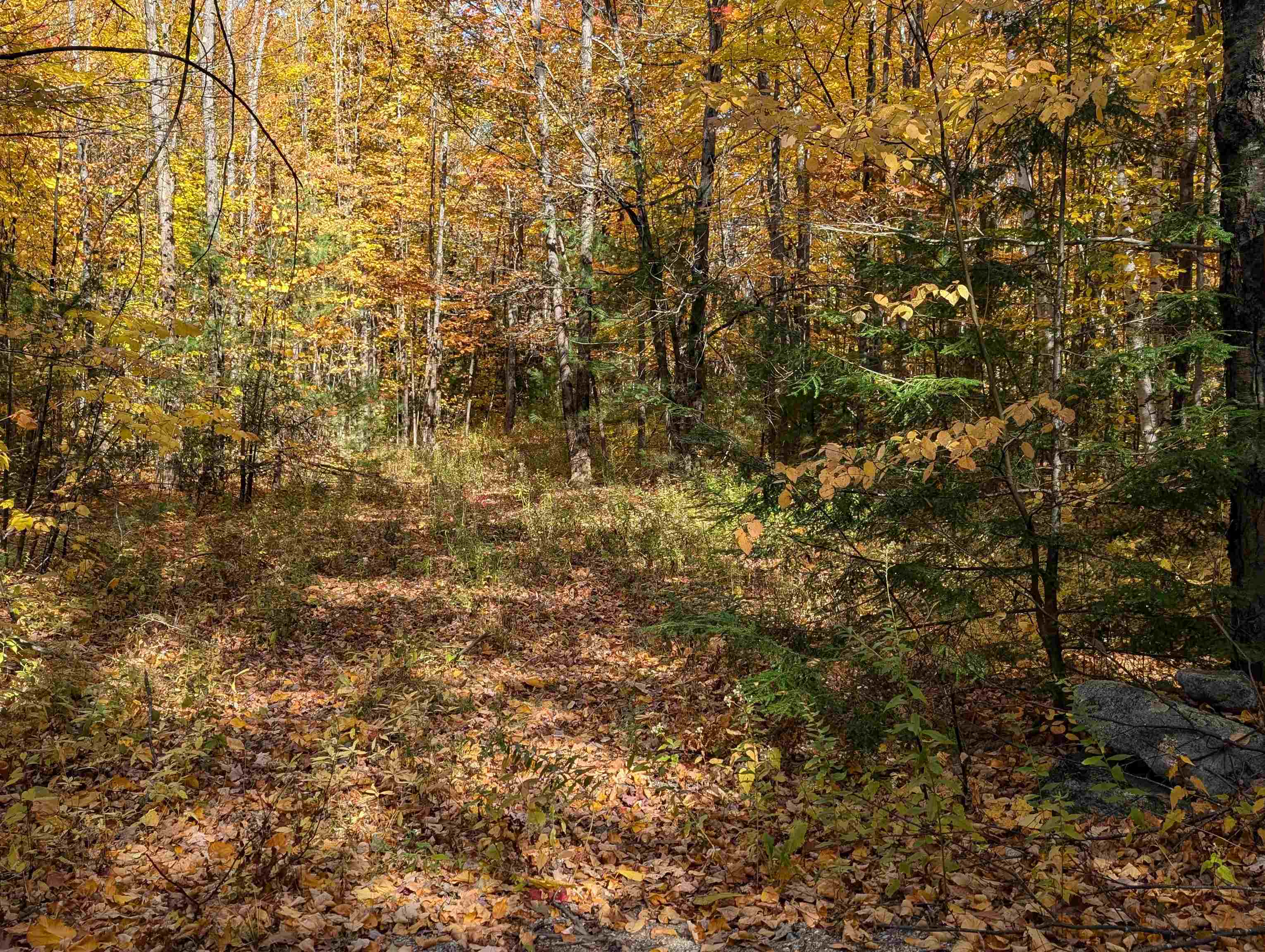 Lot 7-13 Mountain Road Property Photo 7