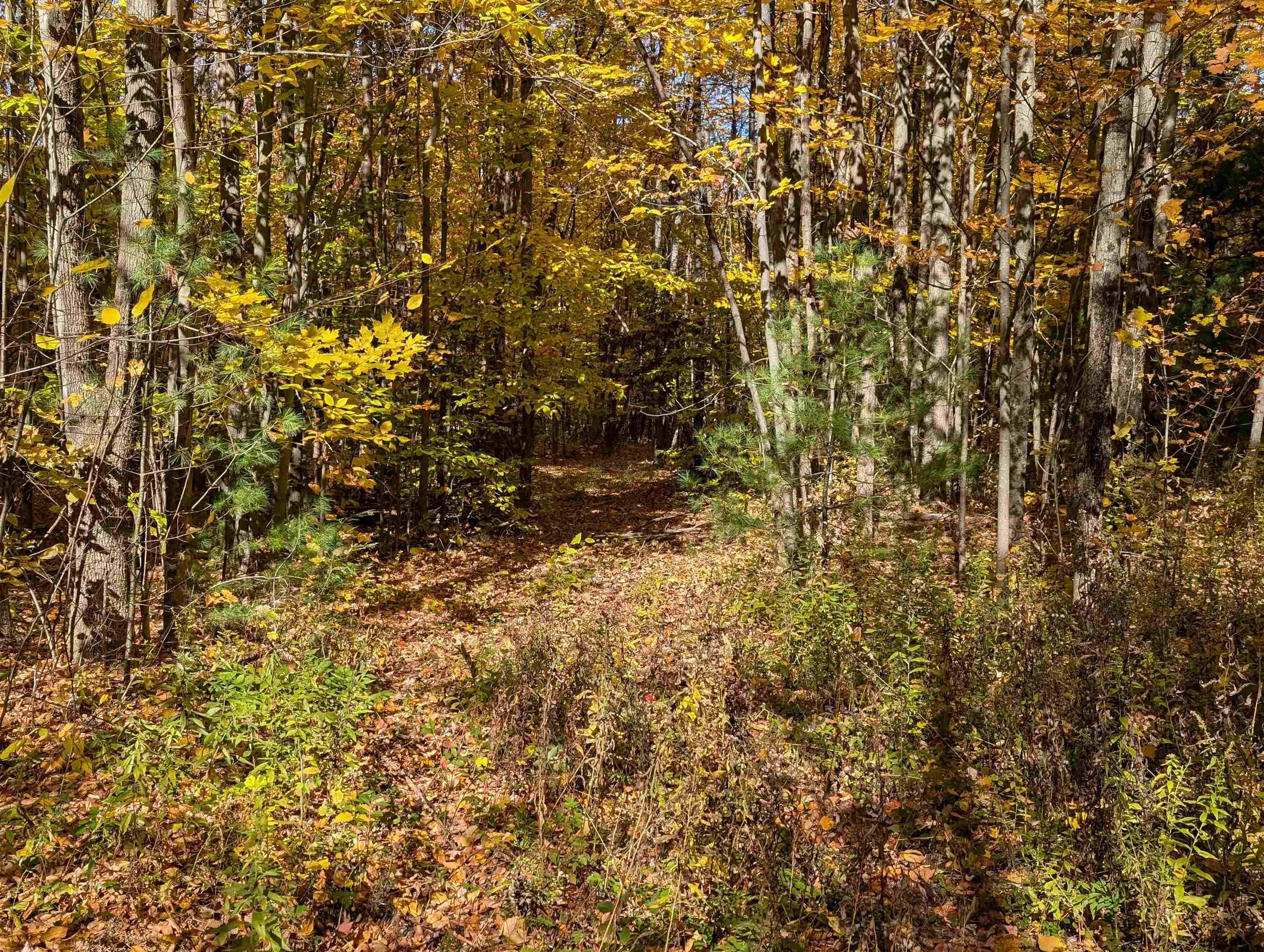 Lot 7-13 Mountain Road Property Photo 8