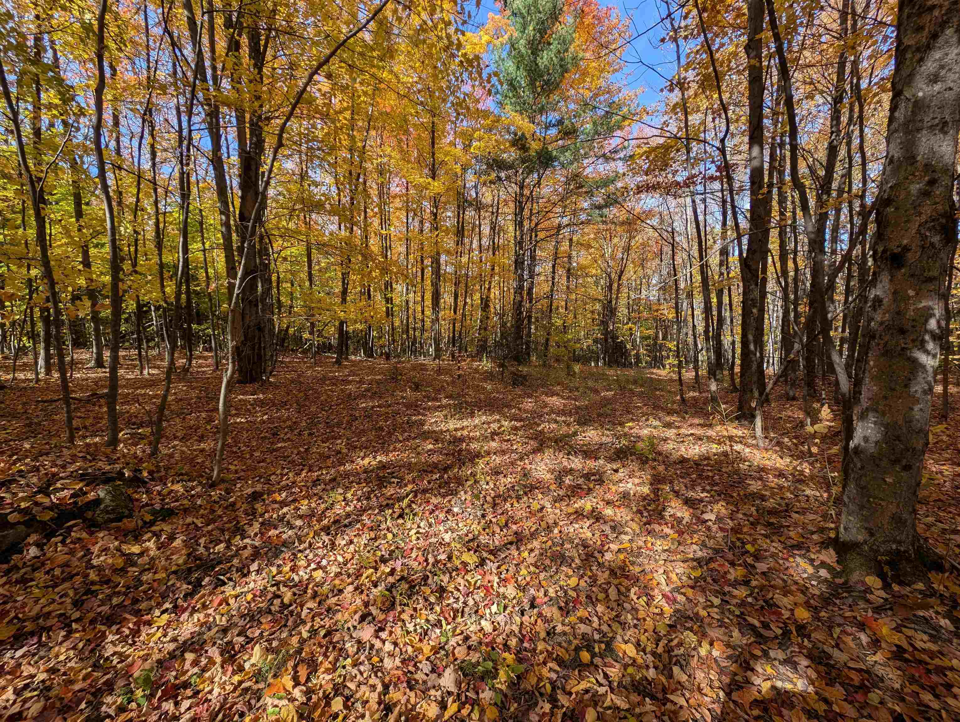 Lot 7-13 Mountain Road Property Photo 9