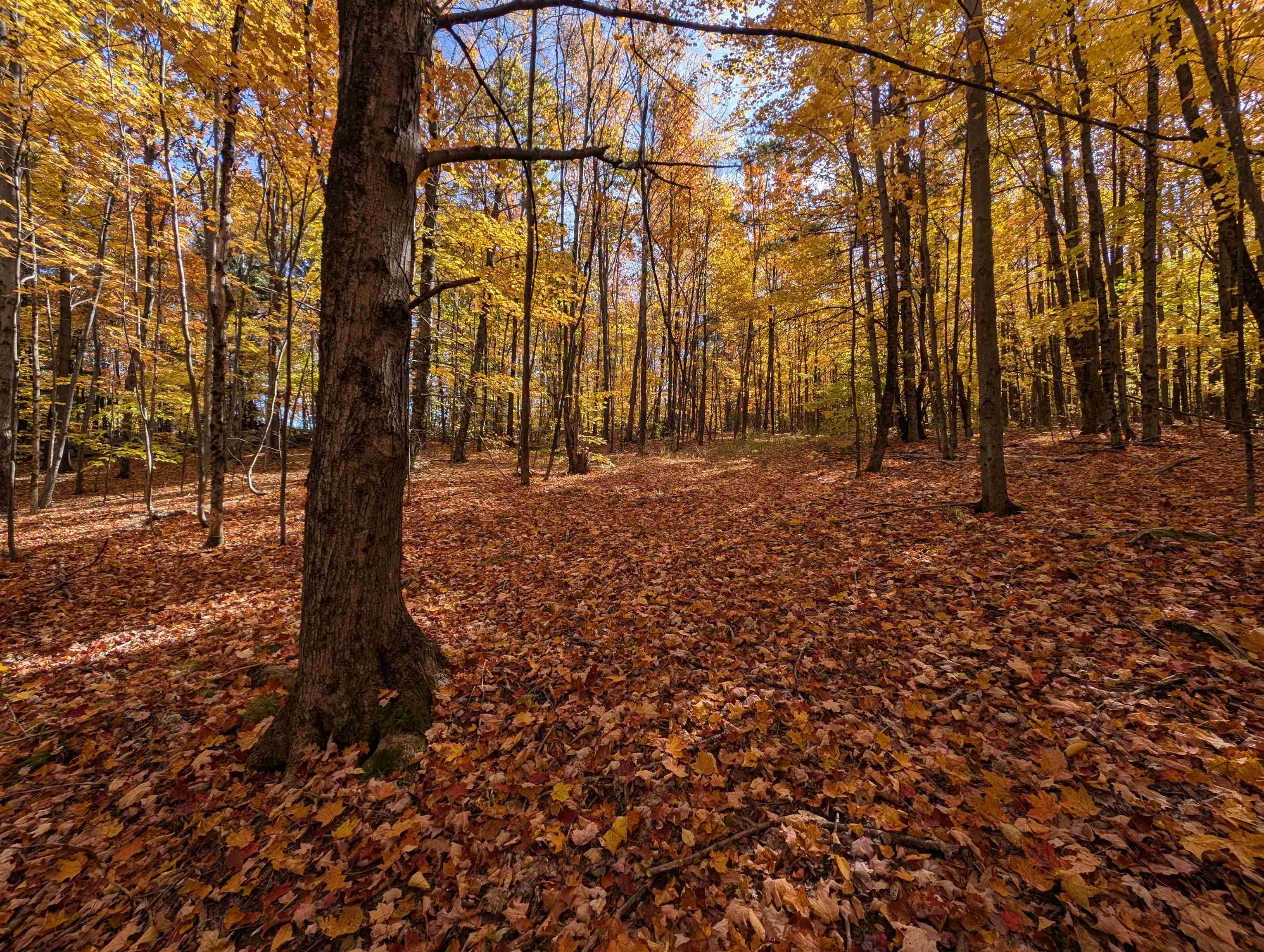 Lot 7-13 Mountain Road Property Photo 10