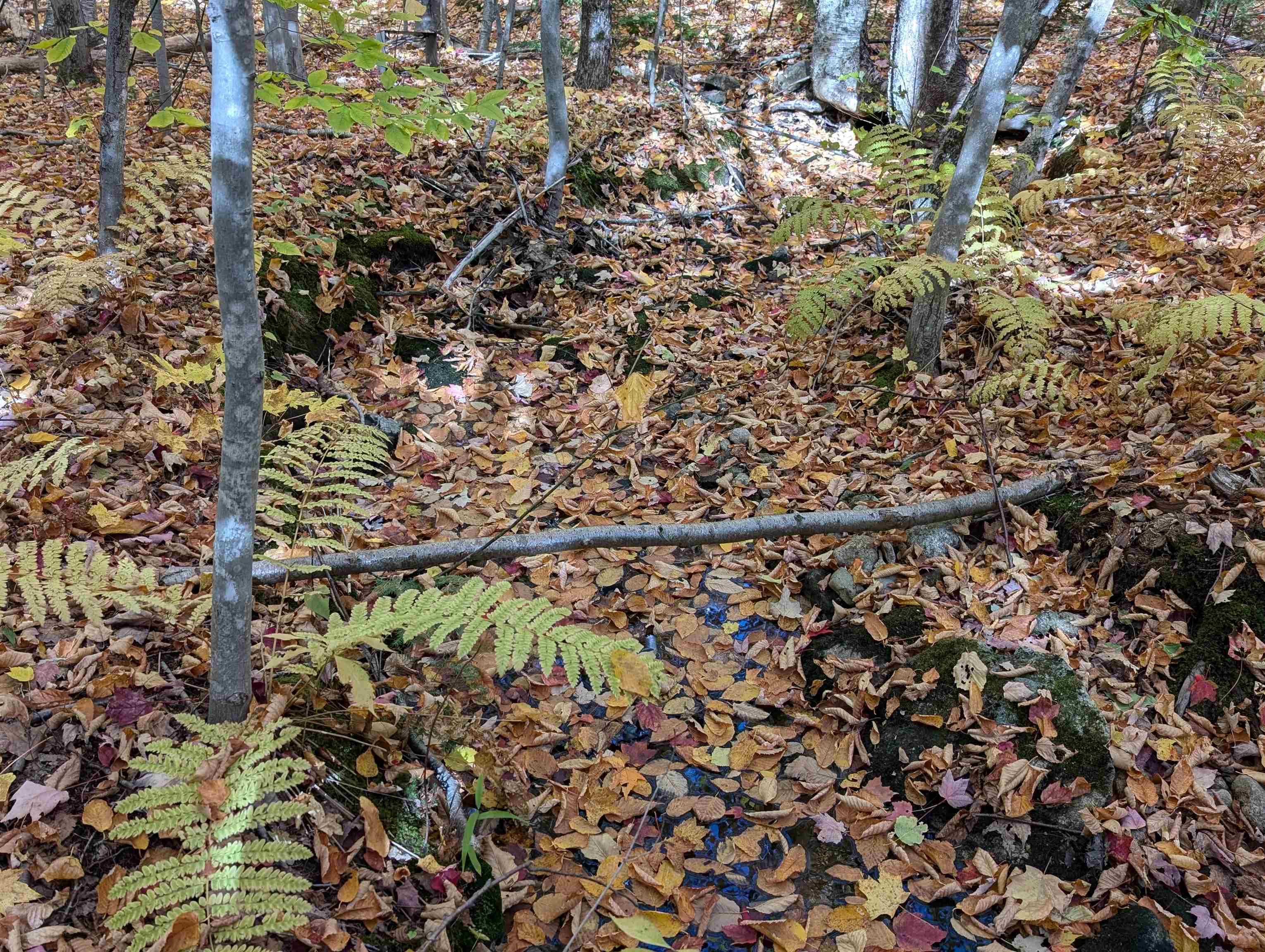 Lot 7-13 Mountain Road Property Photo 12
