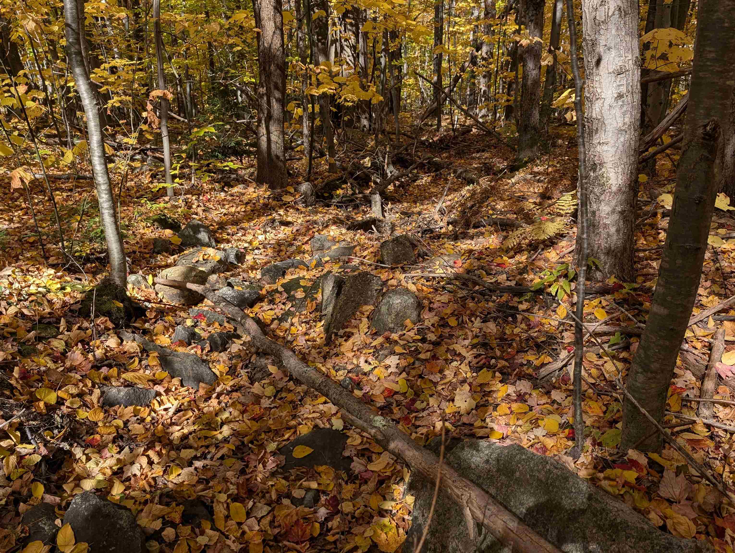 Lot 7-13 Mountain Road Property Photo 13