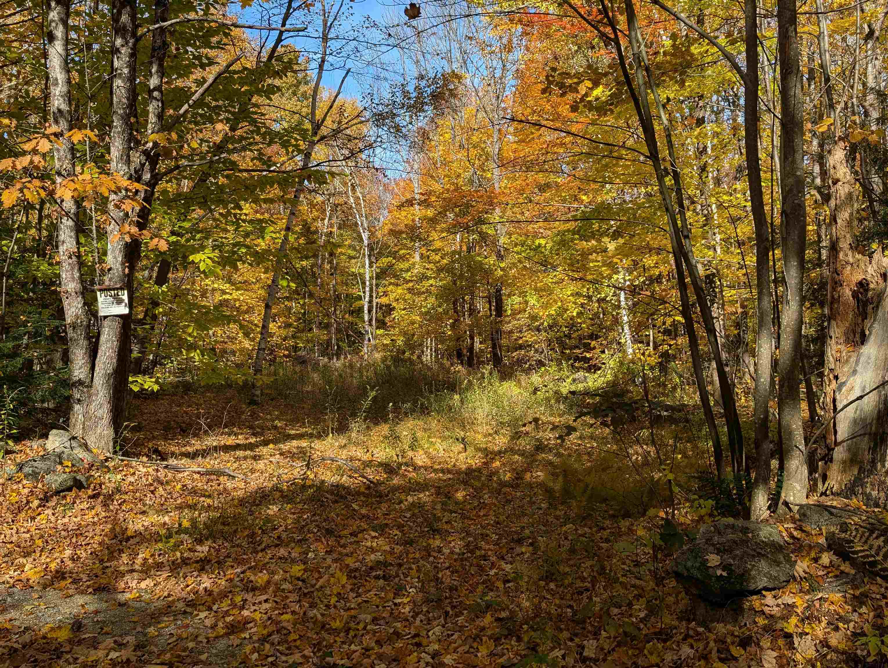 Lot 7-13 Mountain Road Property Photo 14