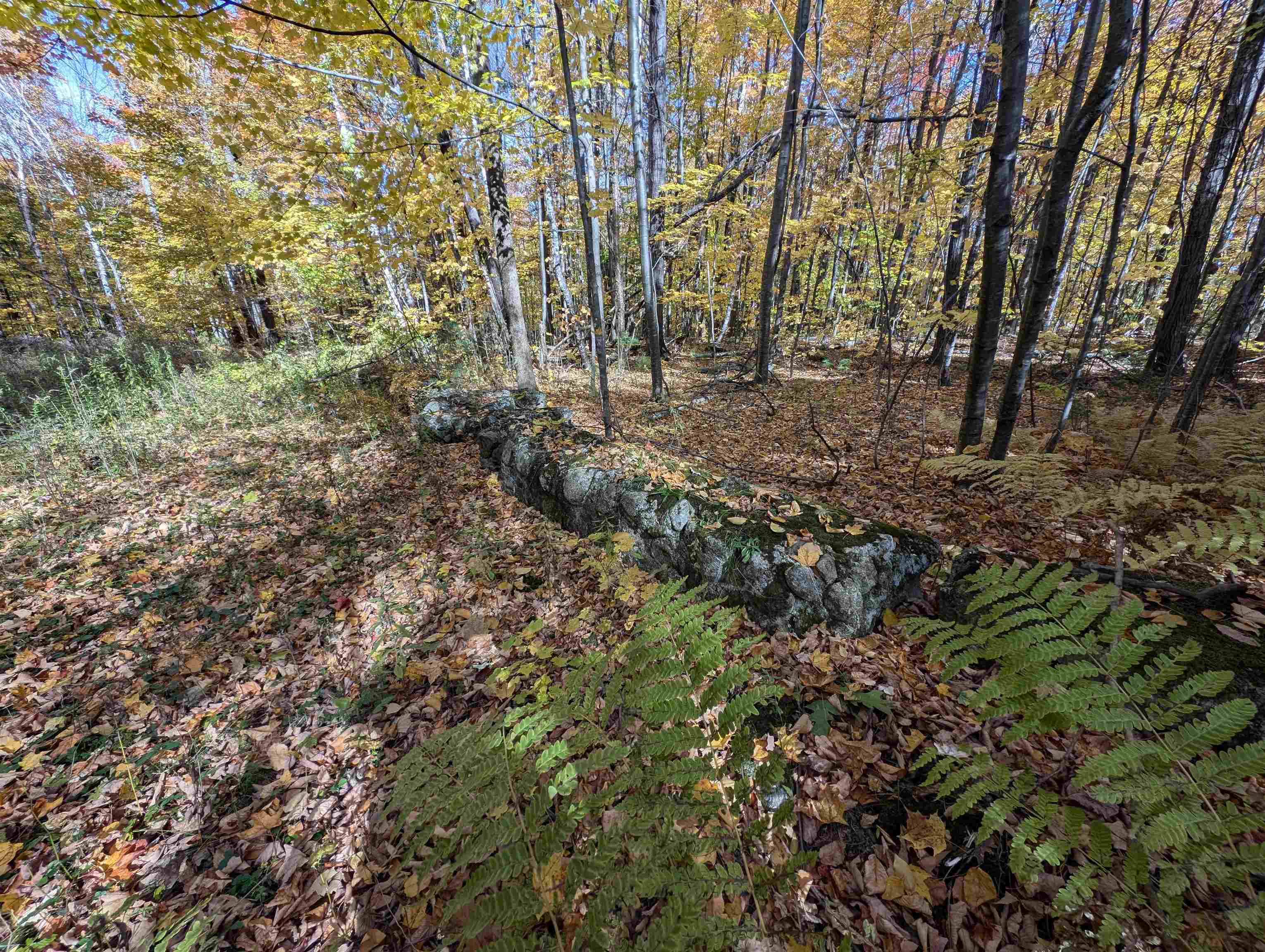 Lot 7-13 Mountain Road Property Photo 16
